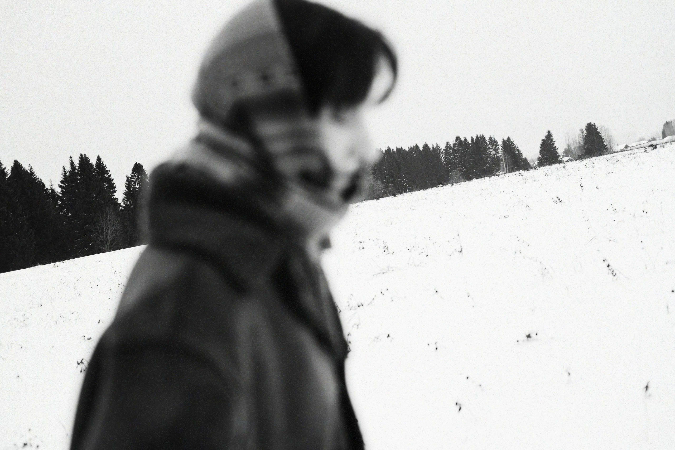 Photo by anya stepanenko