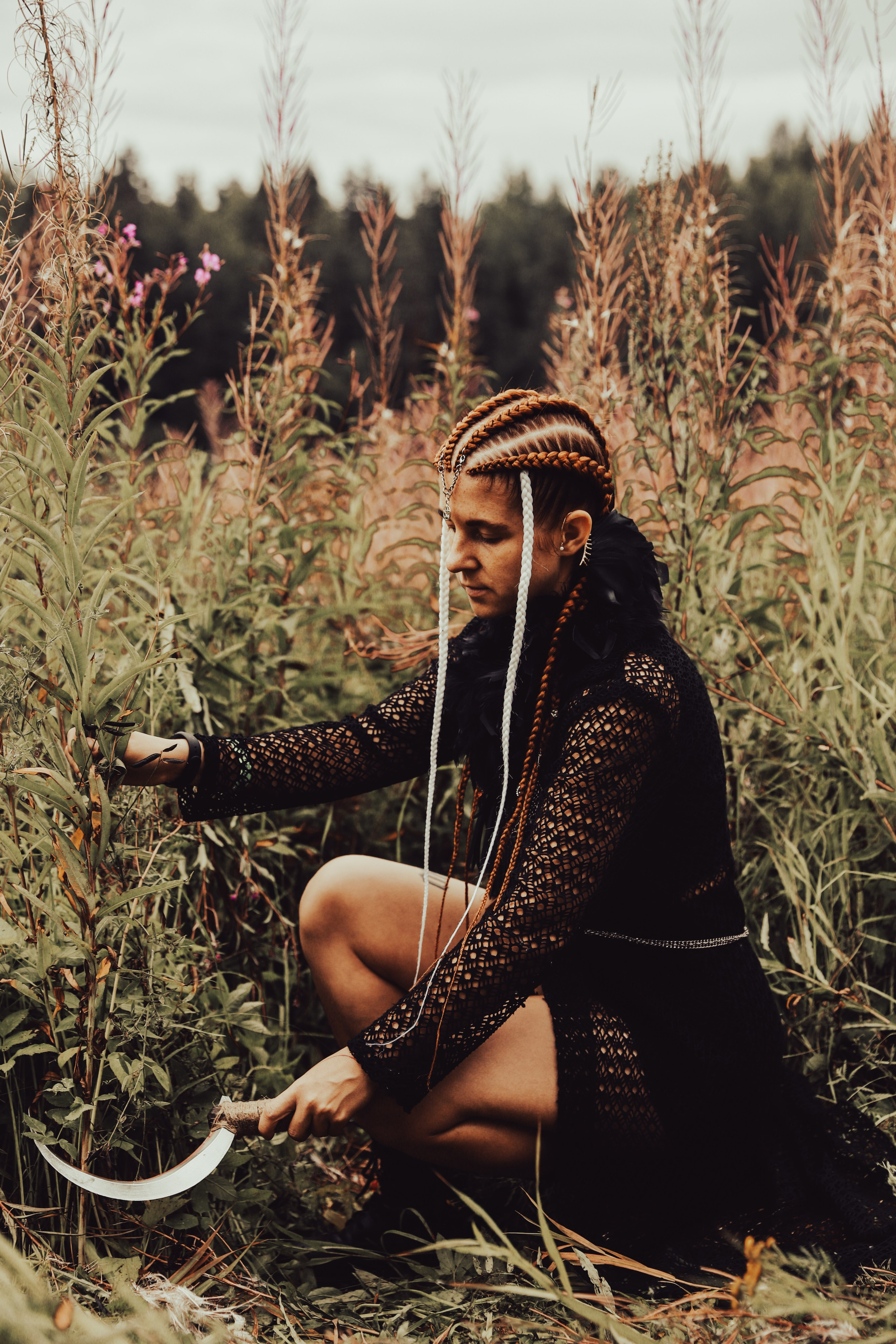 Фестиваль Жива