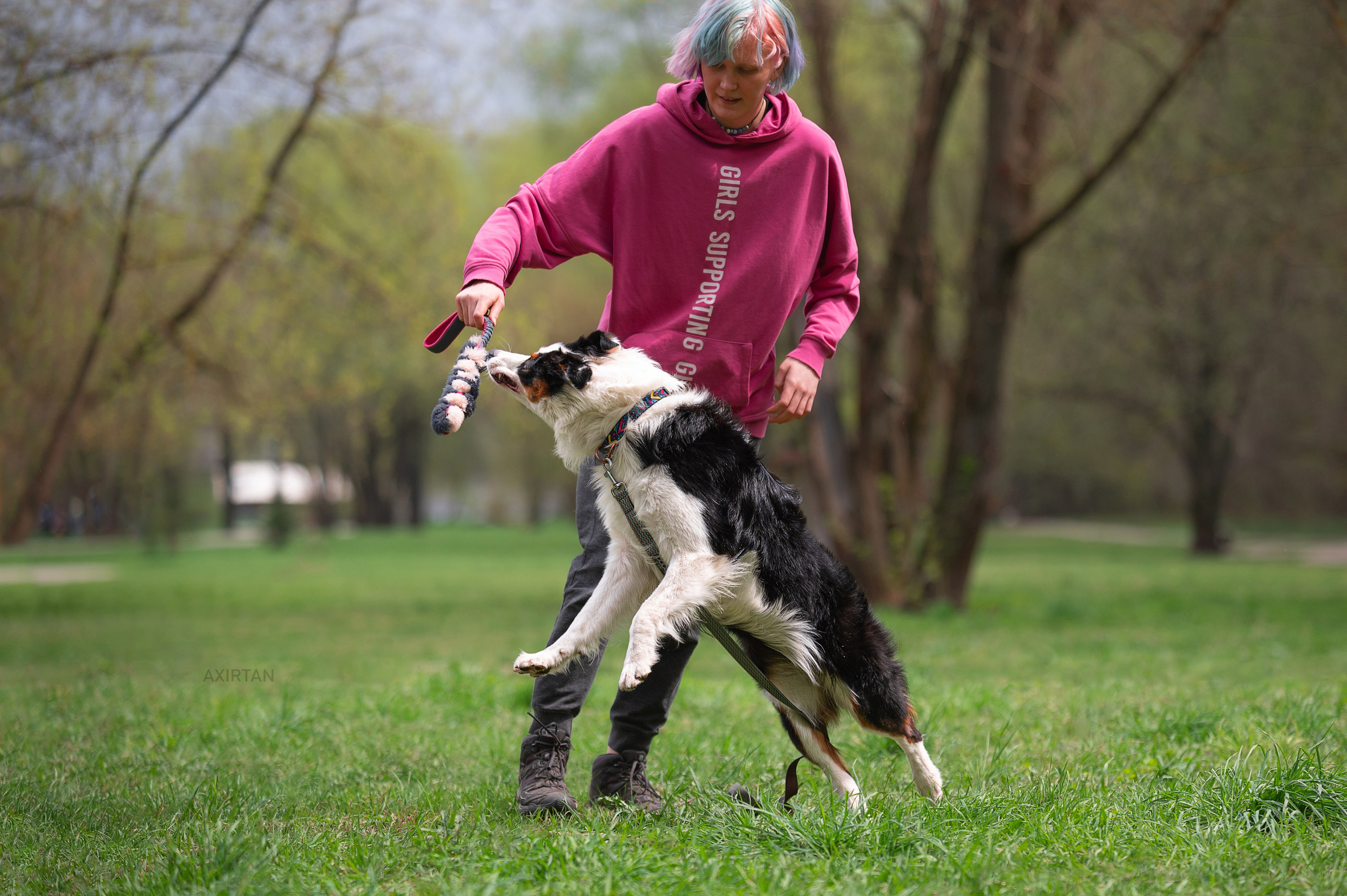 Синдра. BLGKV питомник собак