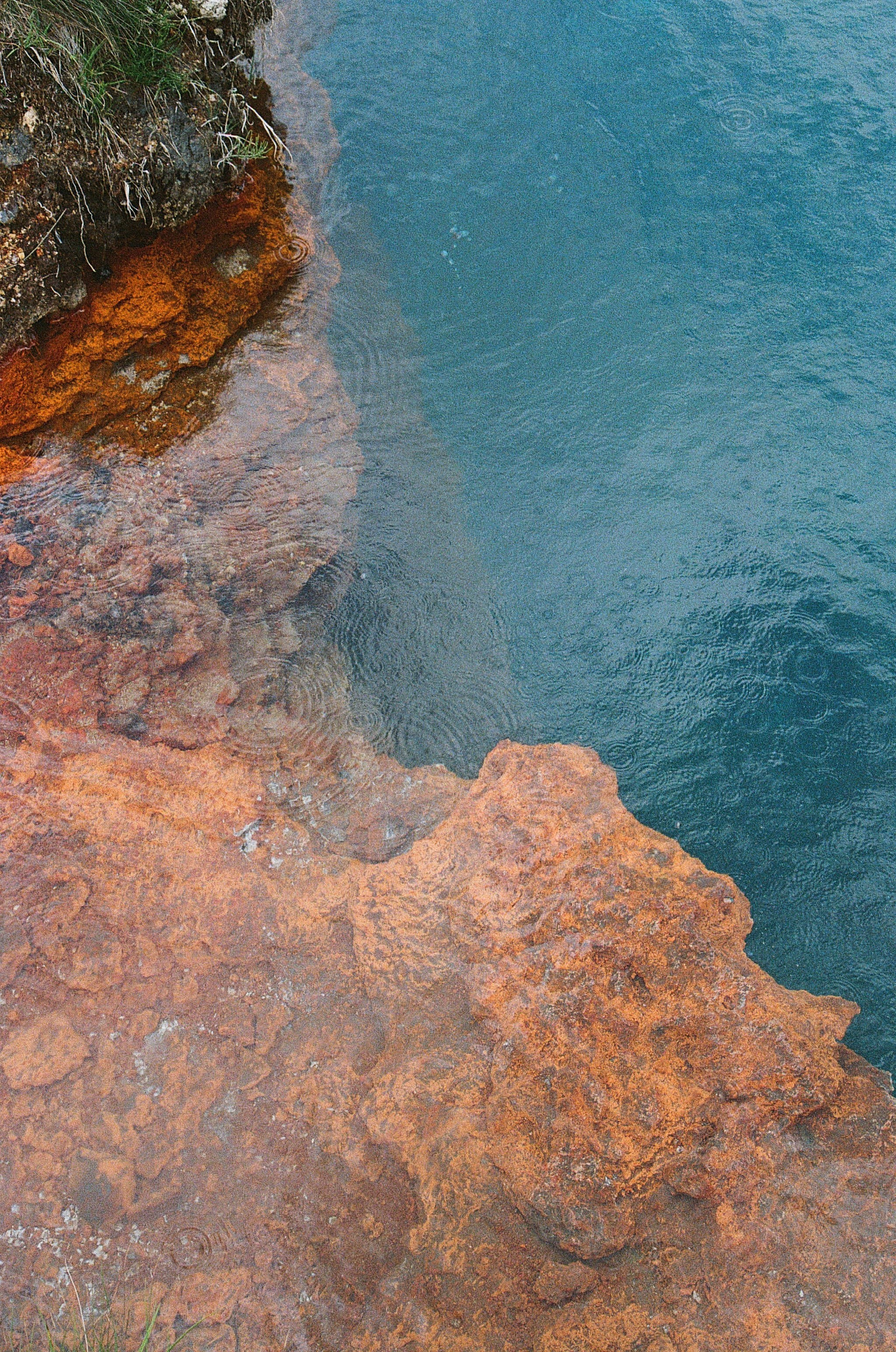 ГРУЗИЯ. ПРИРОДА.25. Профессиональный фотограф Федотова Арина