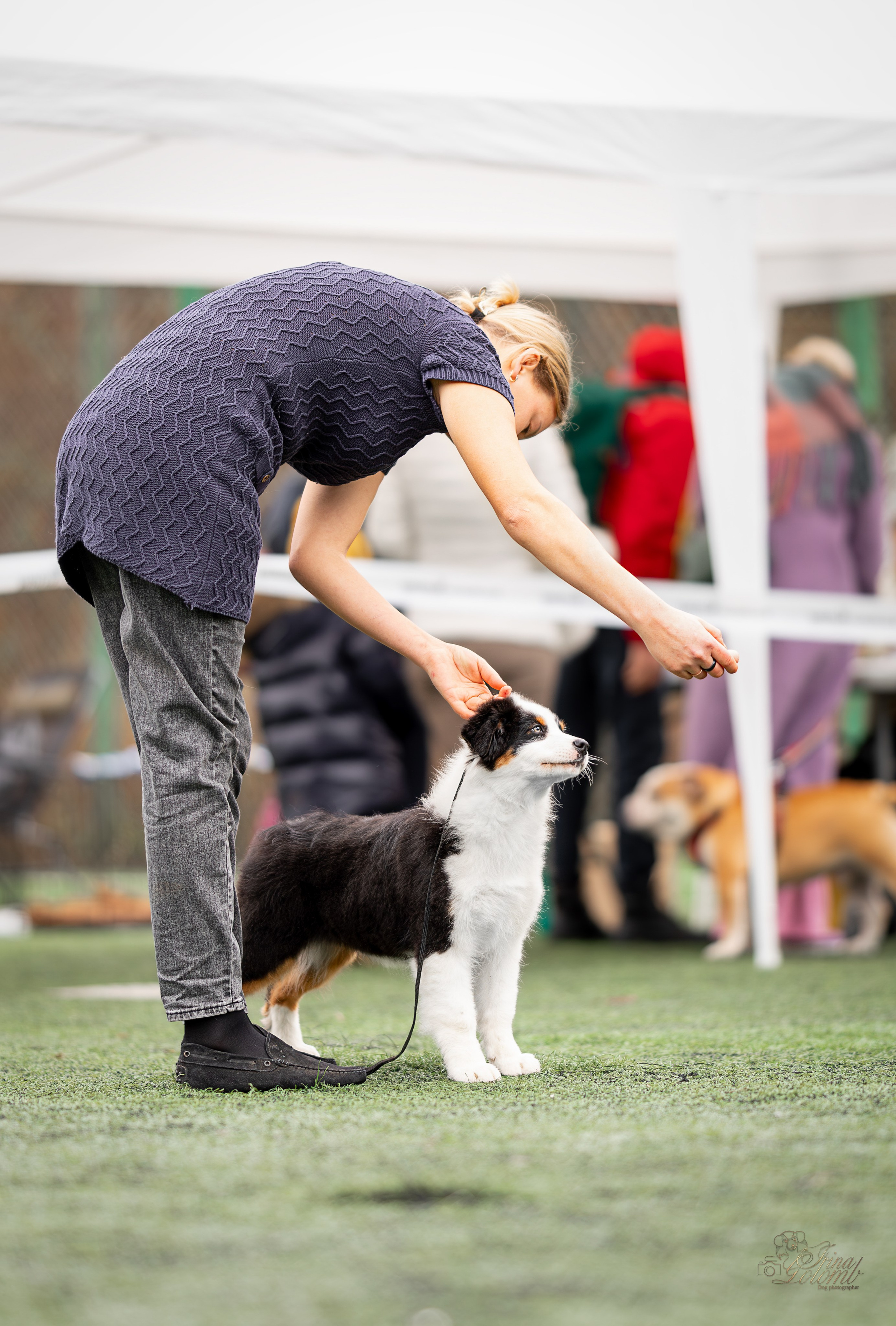 Выставка 17.12.23. Ирина Голомб|Фотограф-анималист в  Сочи и Калининграде