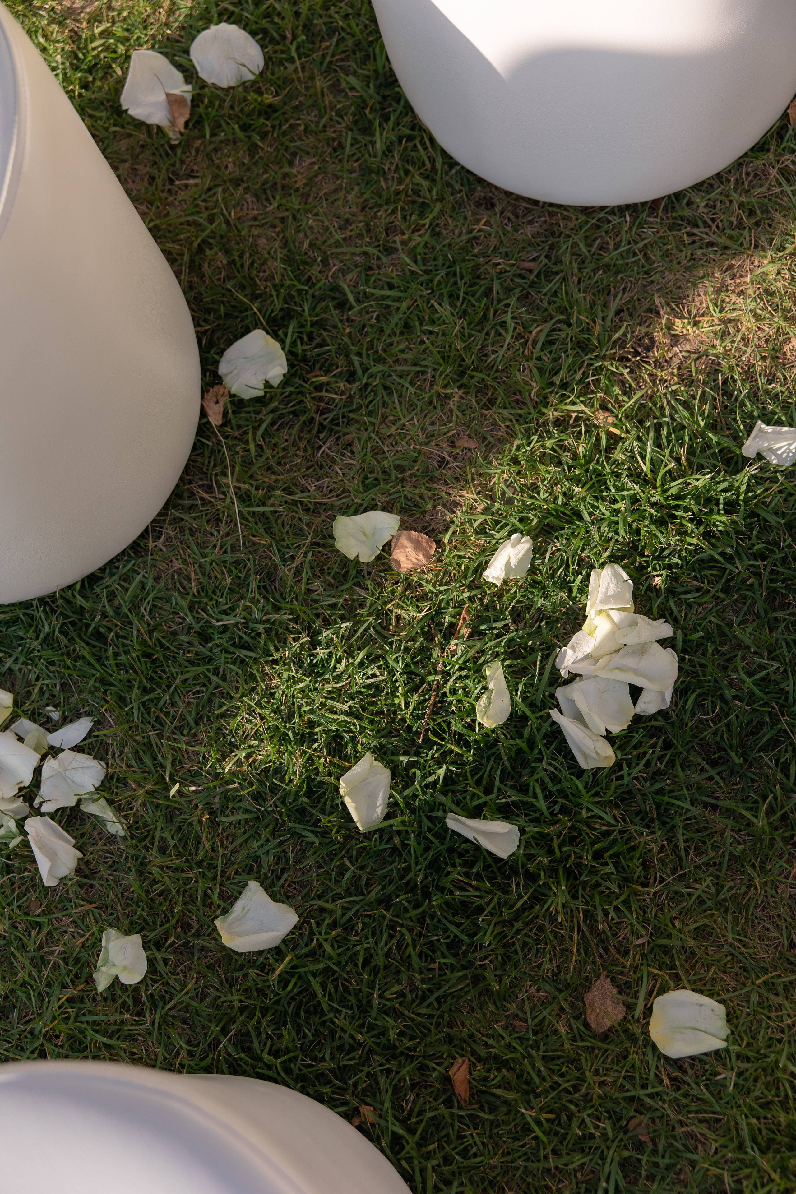 Олег и Варя. Свадебный и семейный фотограф в Новосибирске Наталья Зорина