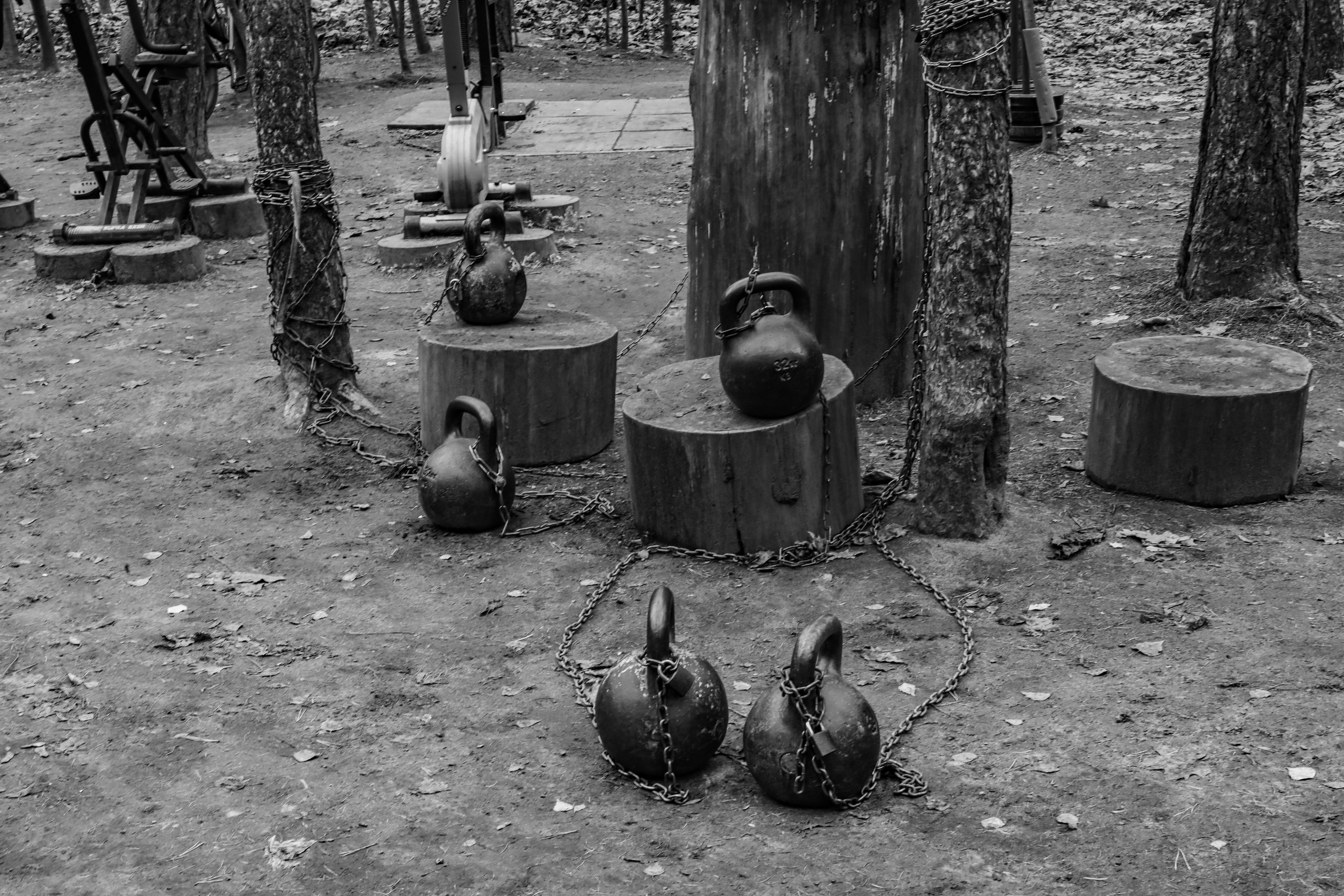 Качалка в лесу — 2022. Стас Привалов