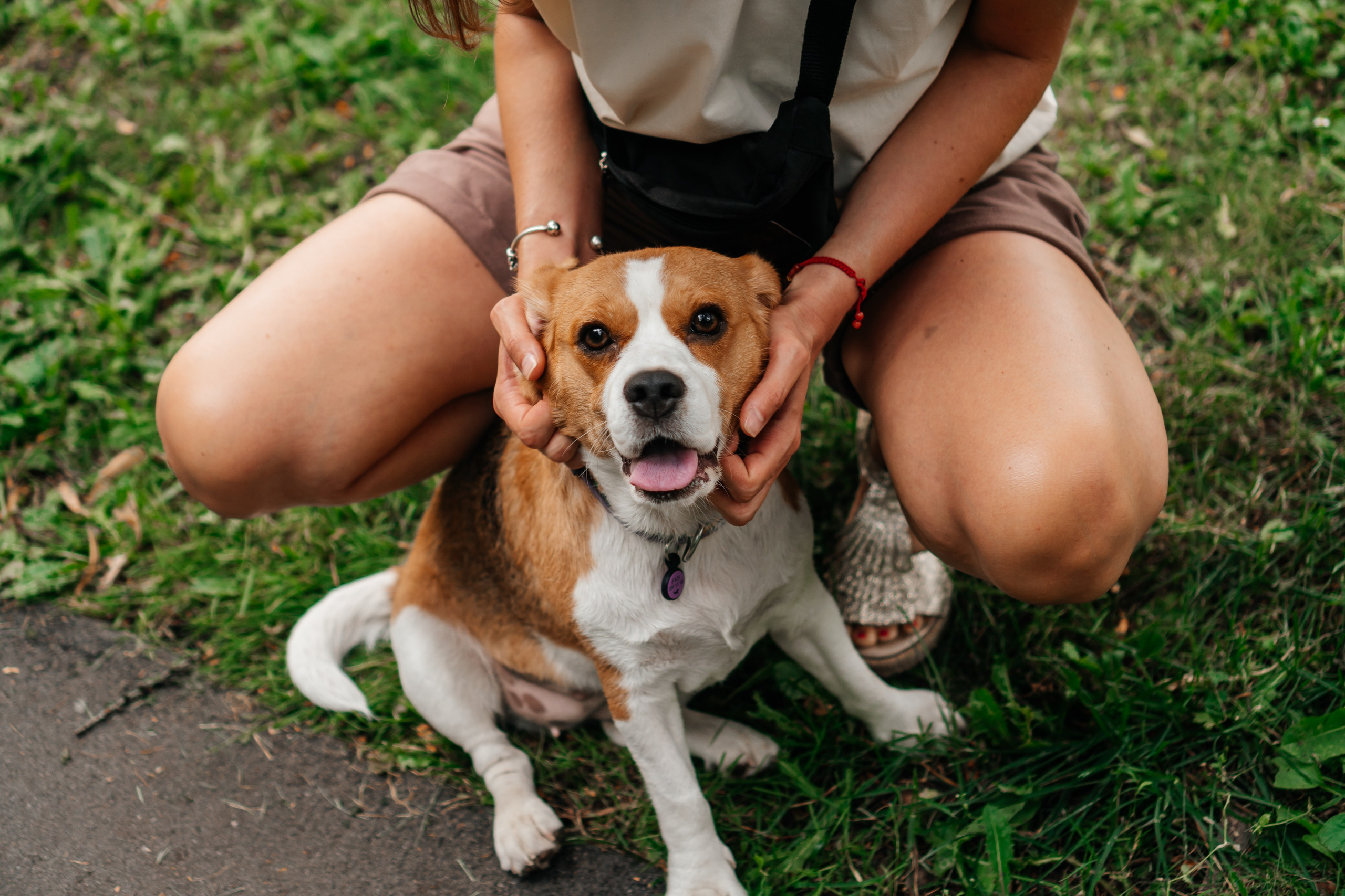 Фотосессия с домашним питомцем. Семейный фотограф в Москве Ирина Жур