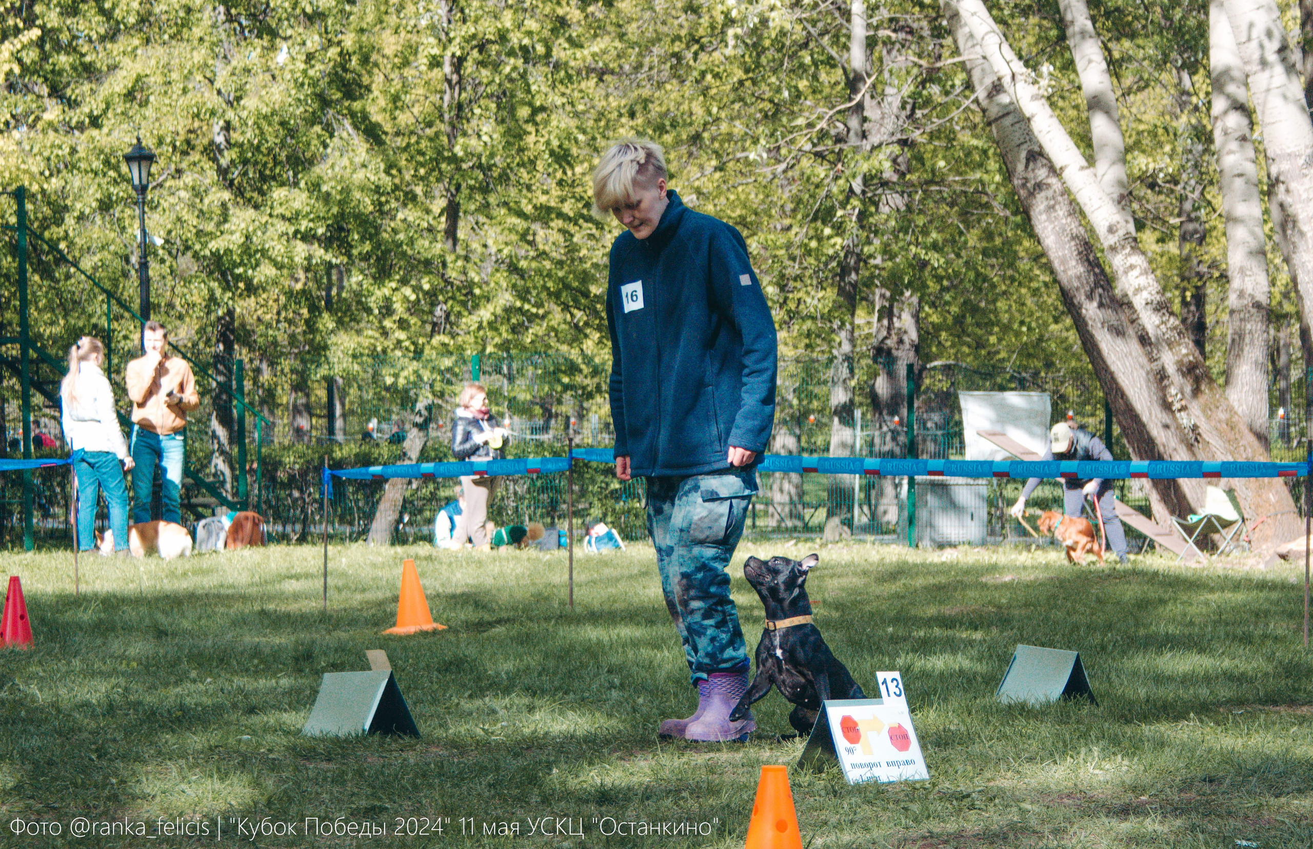 Тсахик. BLGKV питомник собак