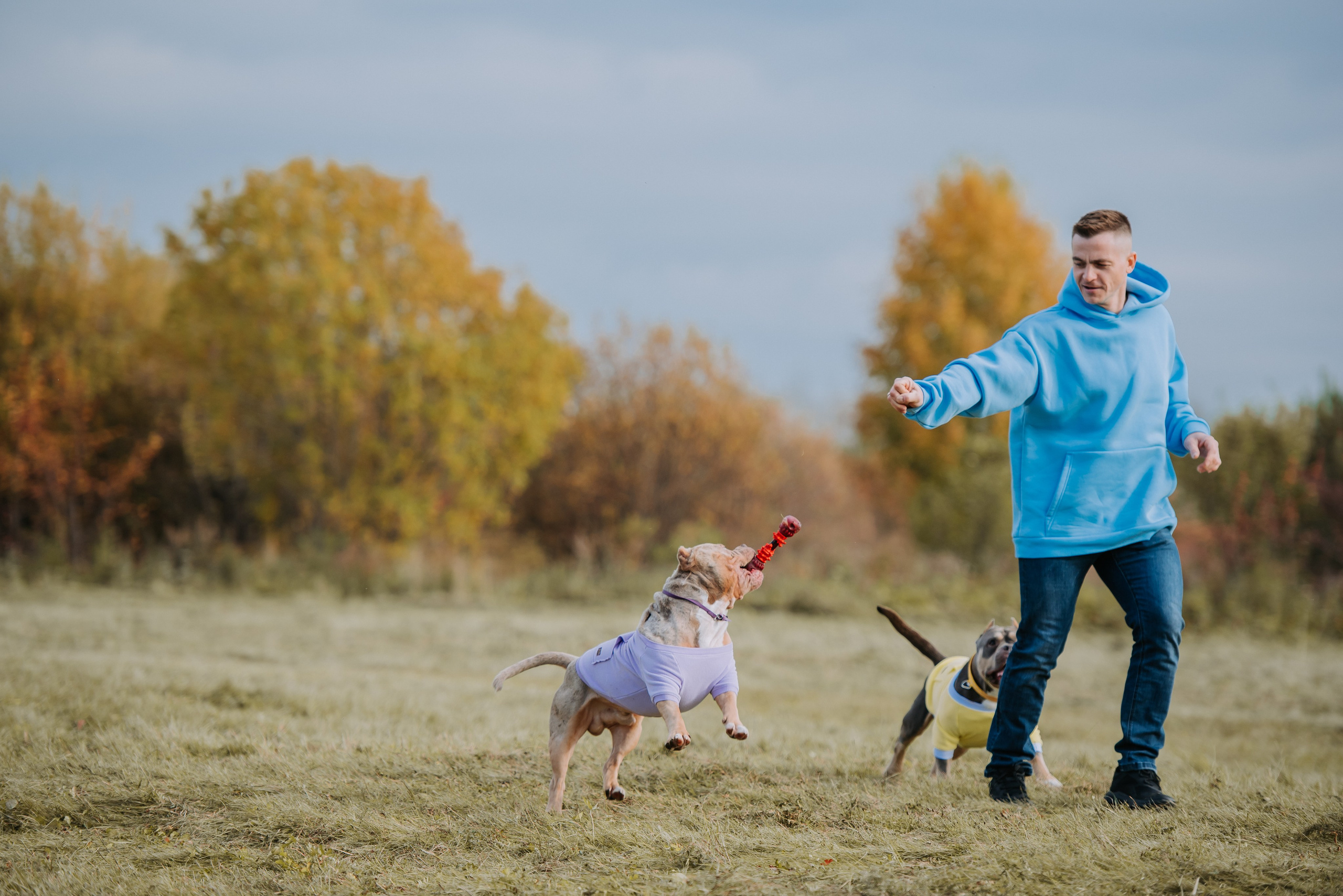 Фотопрогулка с питомцами. Фотограф Диана Оленина Красноярск / Братск