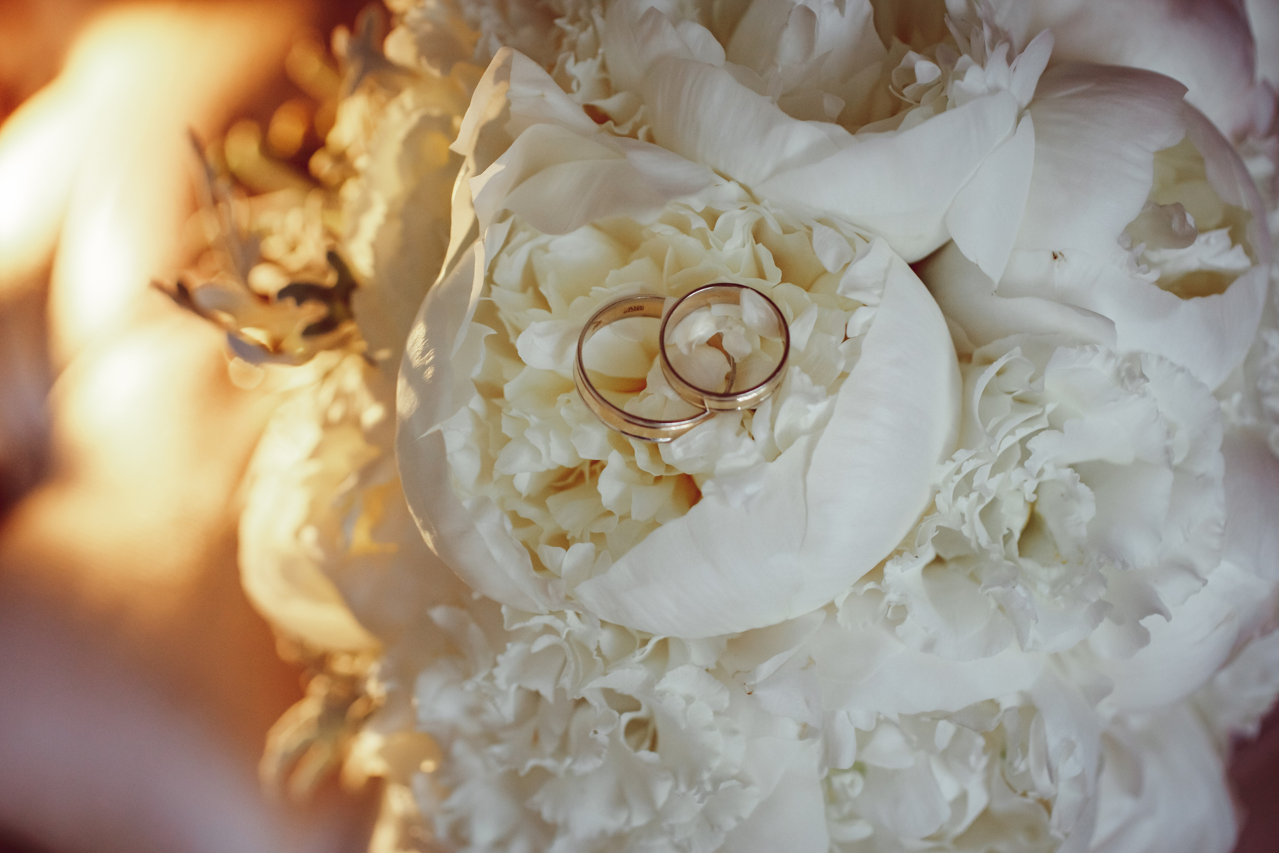 S & E. Фотограф Ольга Лапшина