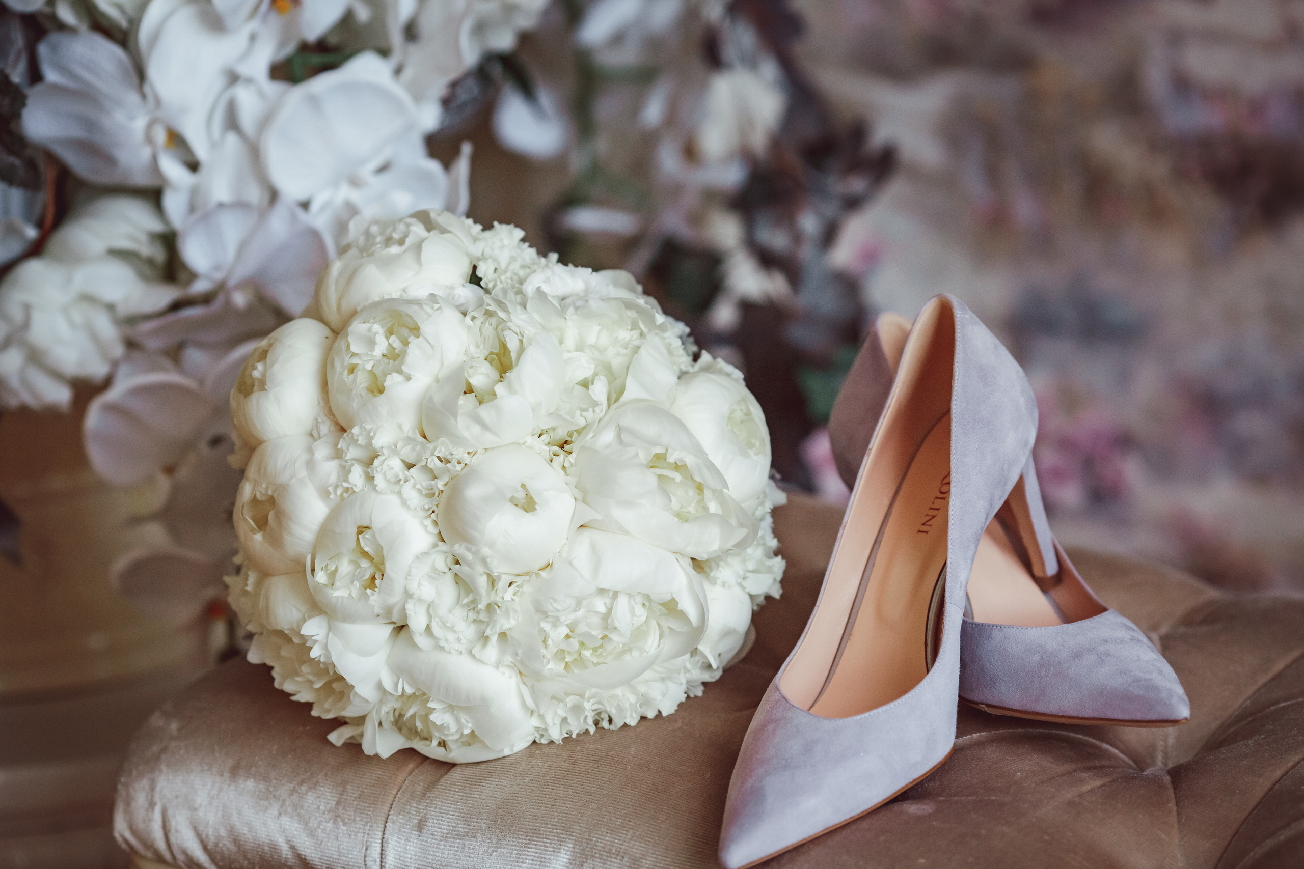 S & E. Фотограф Ольга Лапшина