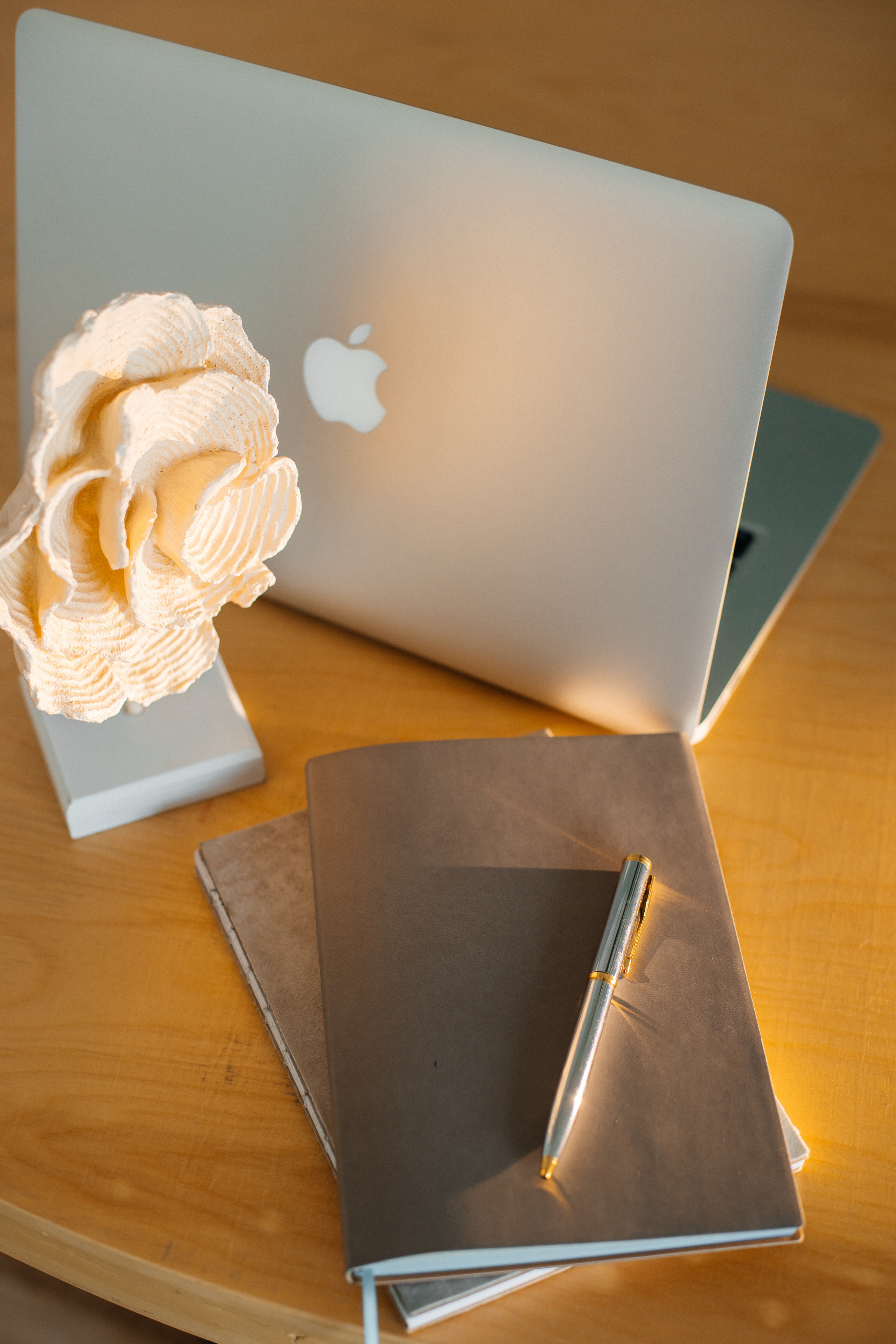 VIKTORIA. Фотограф Ольга Лапшина