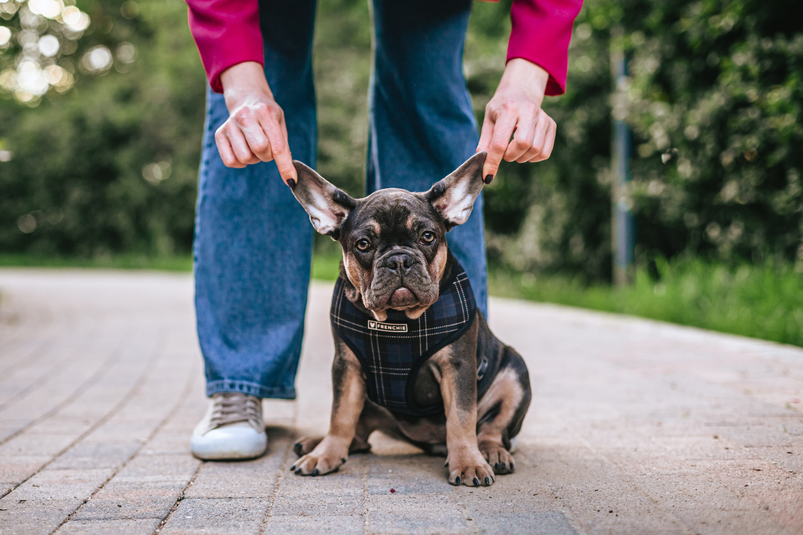 Даша и Мишель. Фотограф-анималист Татьяна Степанова