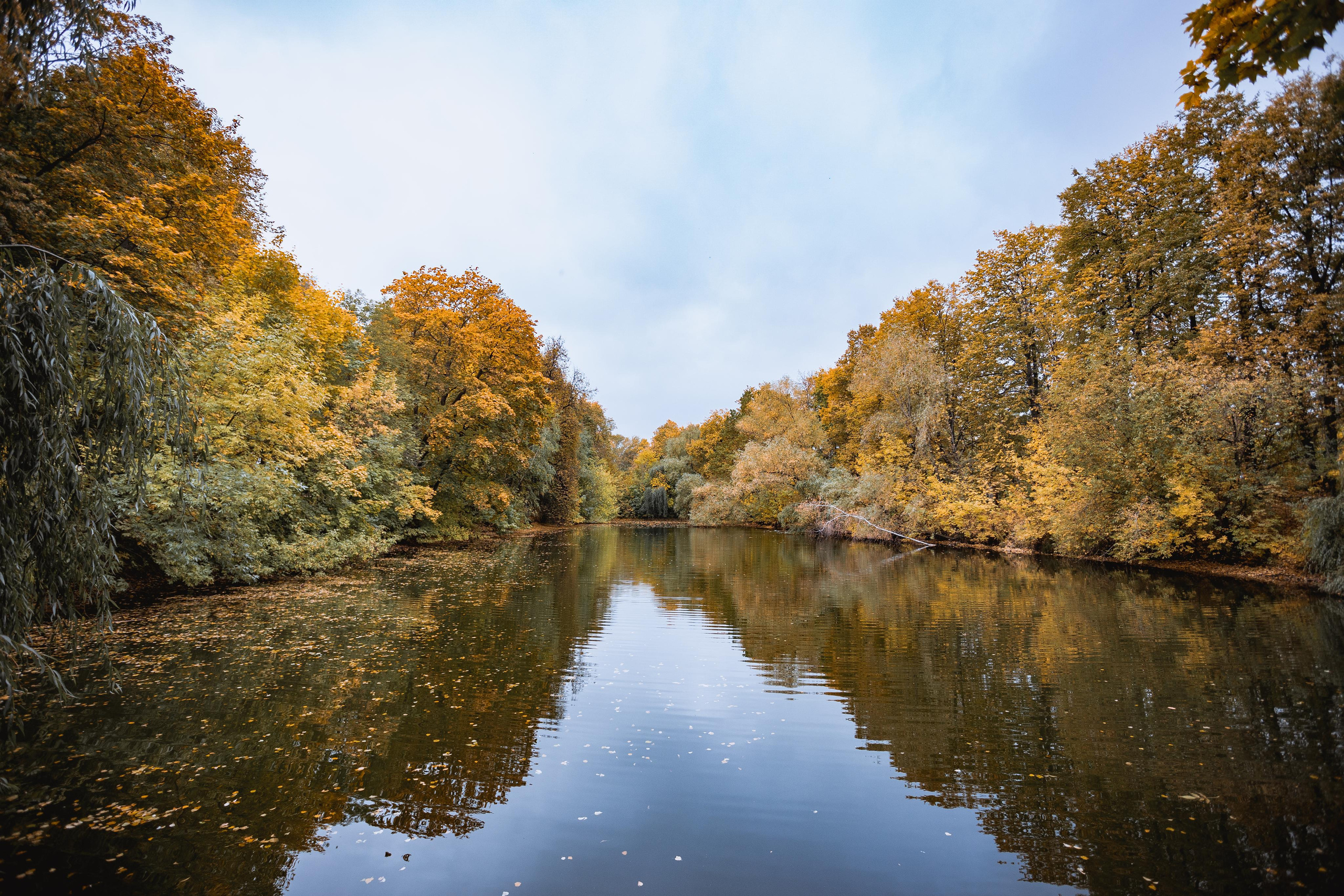 Нескучный сад