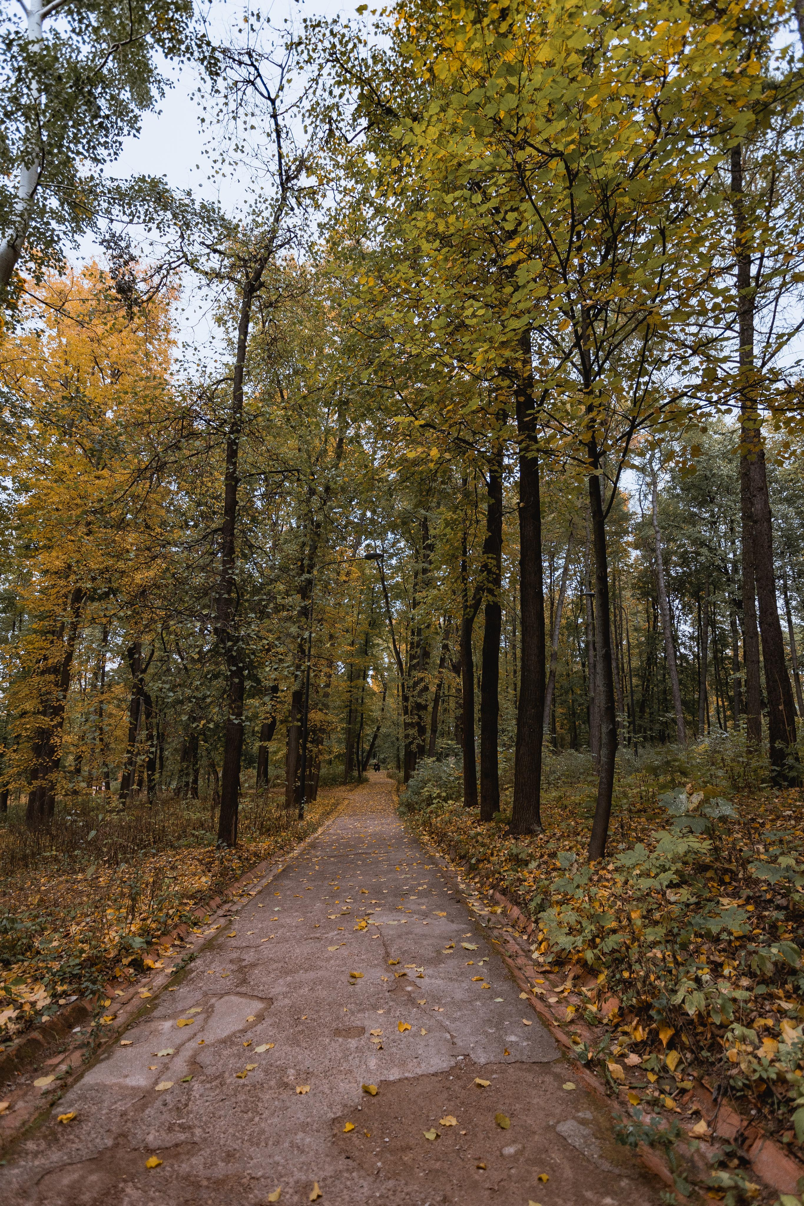 Нескучный сад