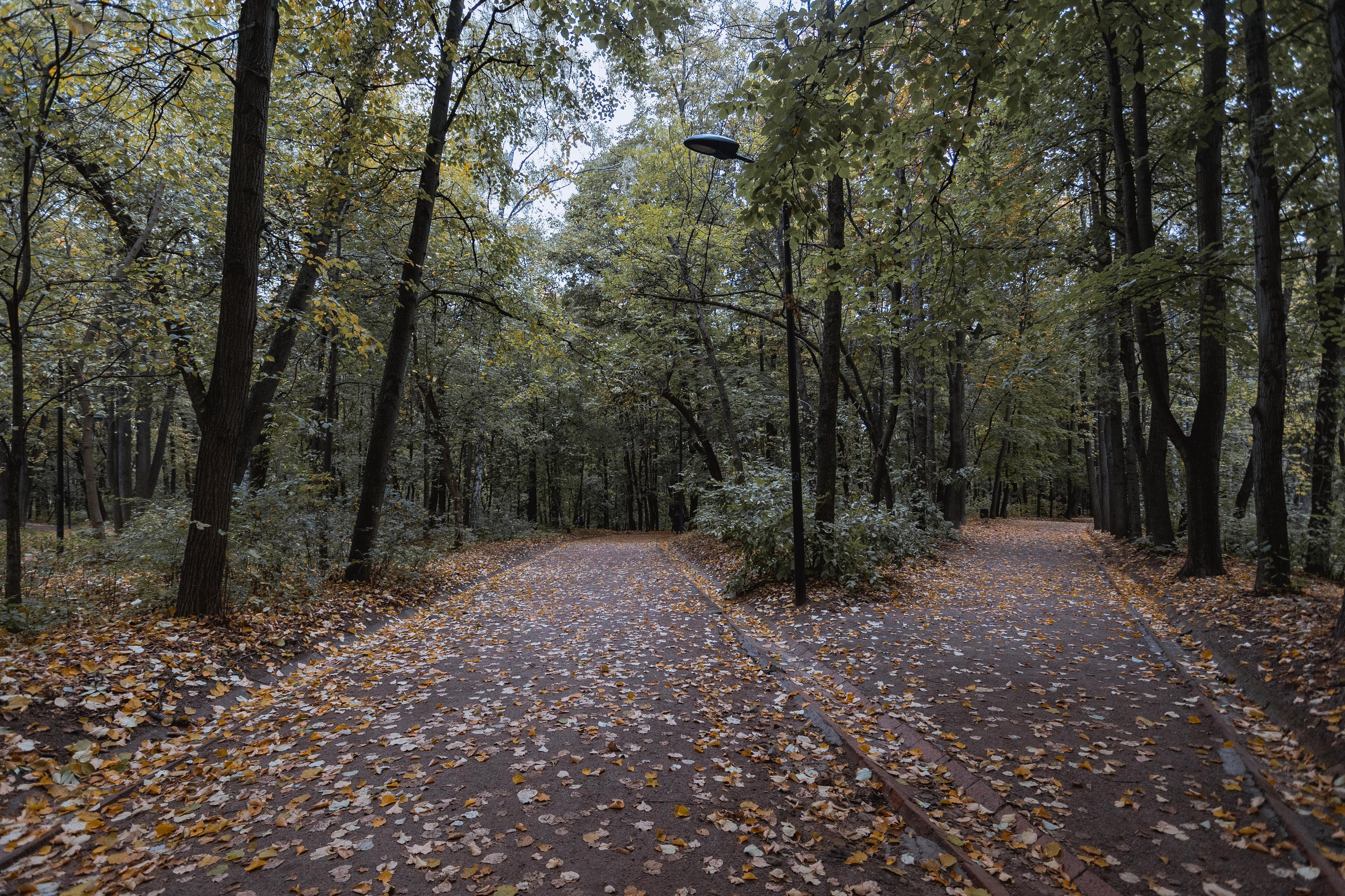 Нескучный сад