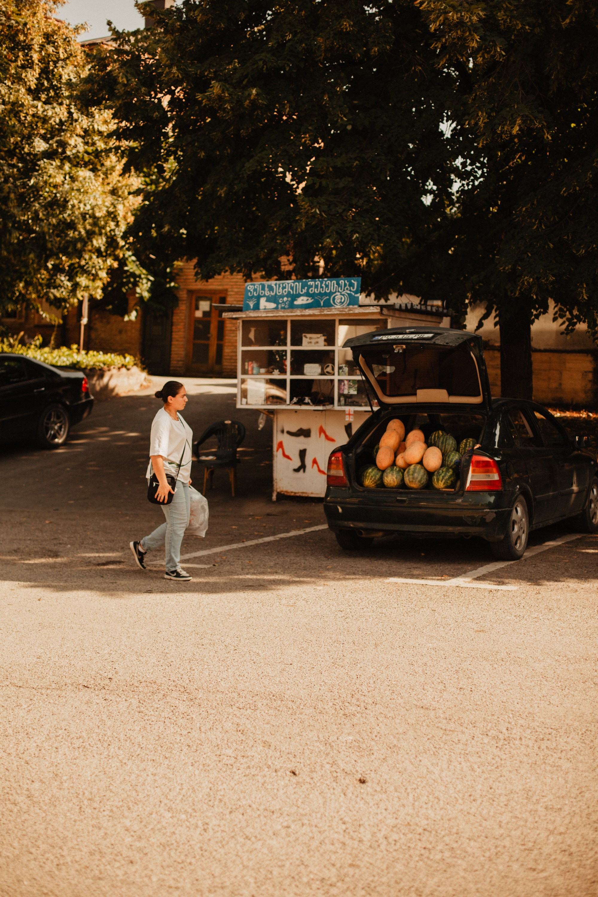 Грузинские каникулы. Violetta Skripka