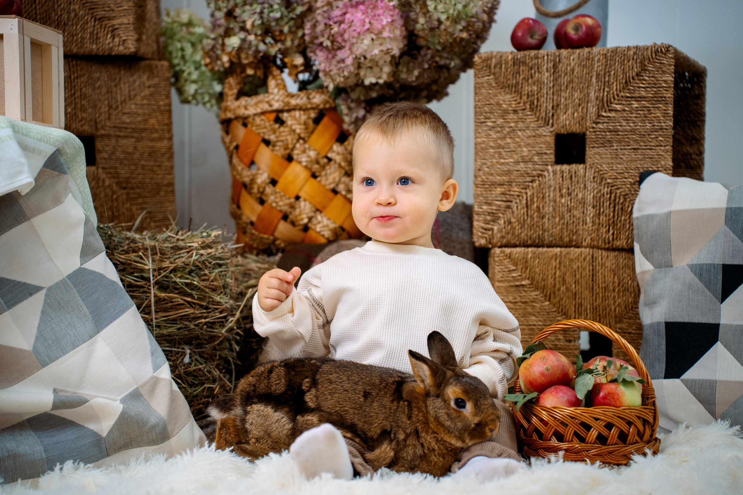 Кролик. Фотограф Казакова Анастасия