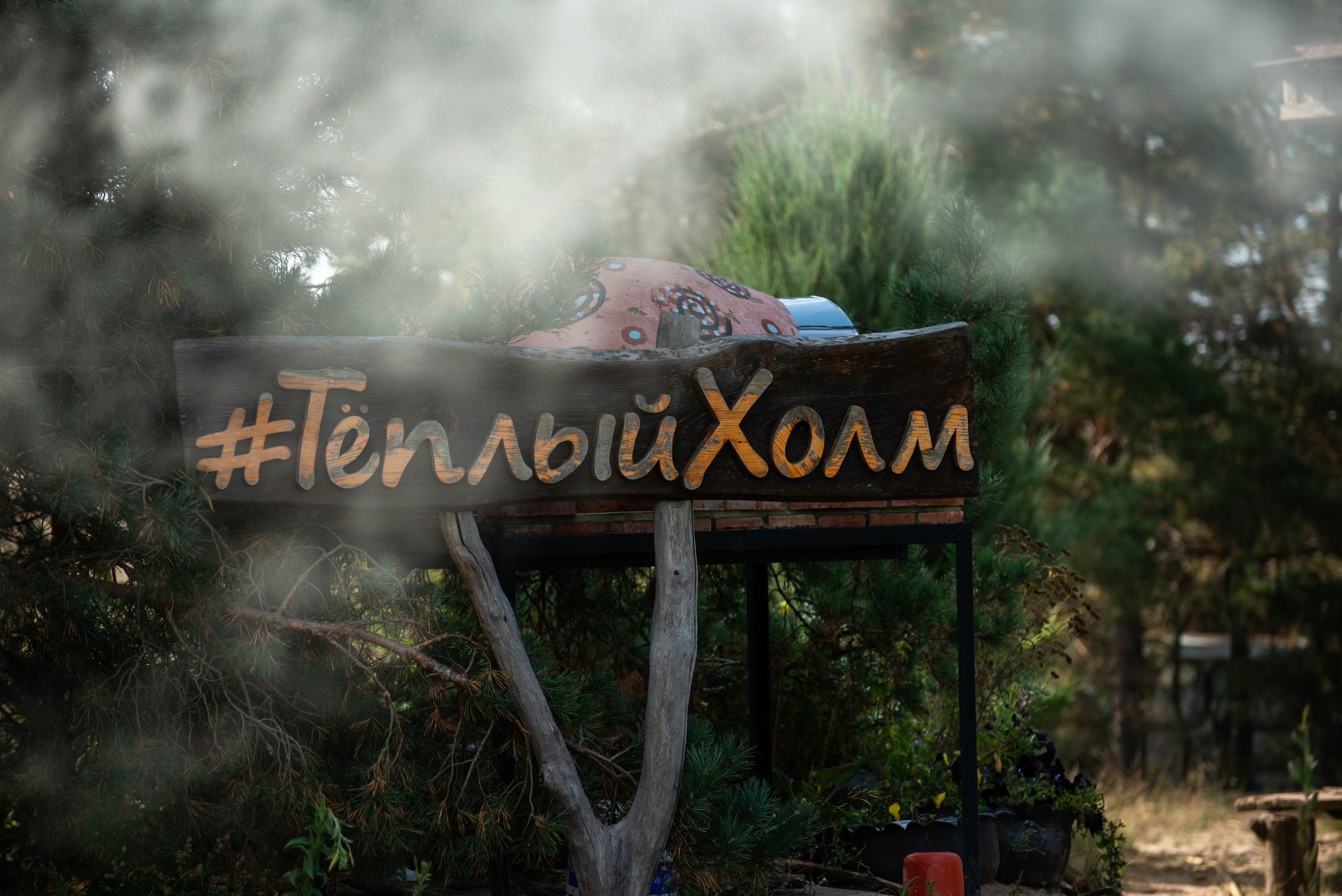 Гости в Родославном. Конный фотограф в Саратове Юлия Иванова