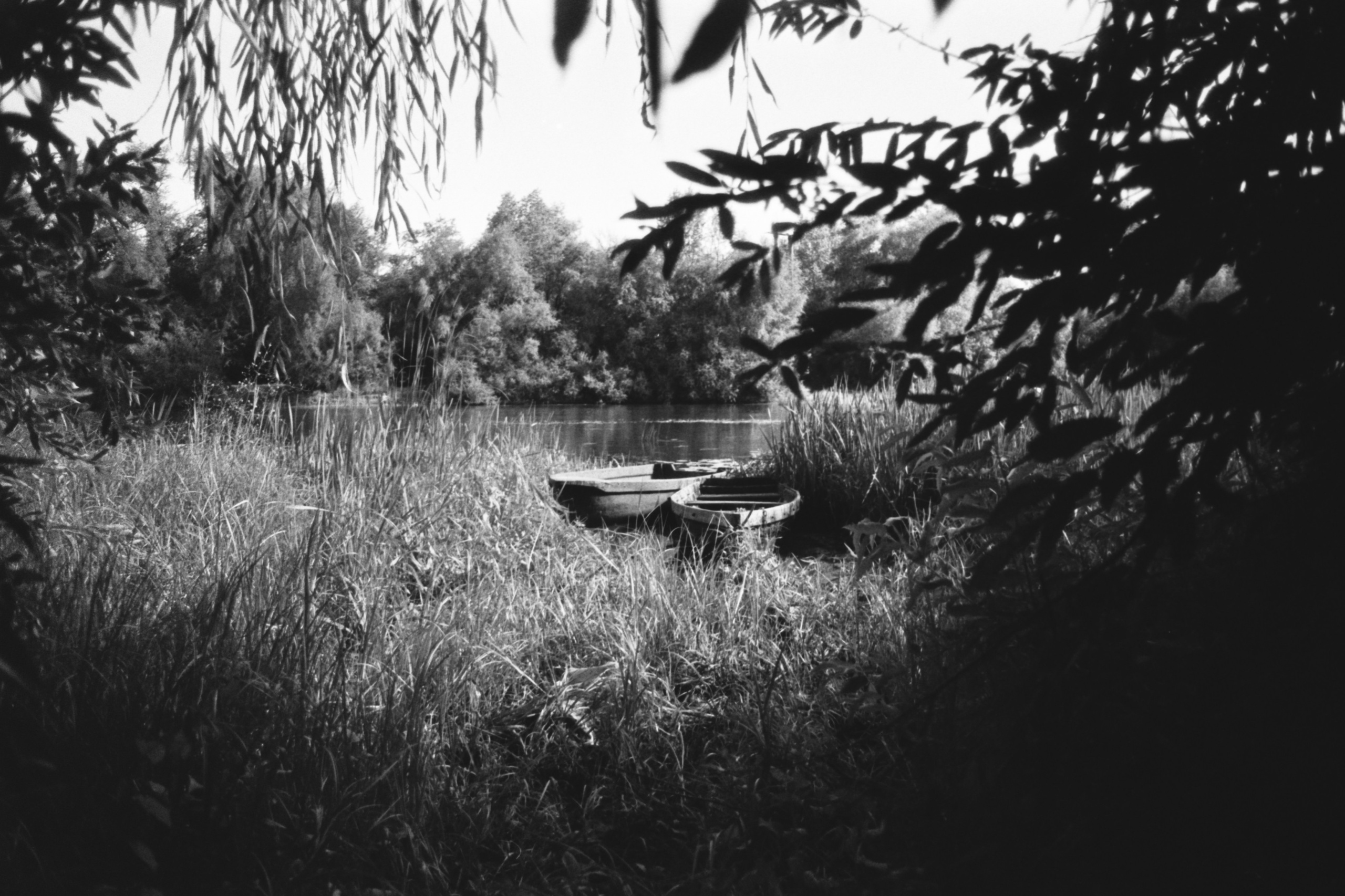 Пленочная история. Дмитрий Пропадалин, Нейрофотография