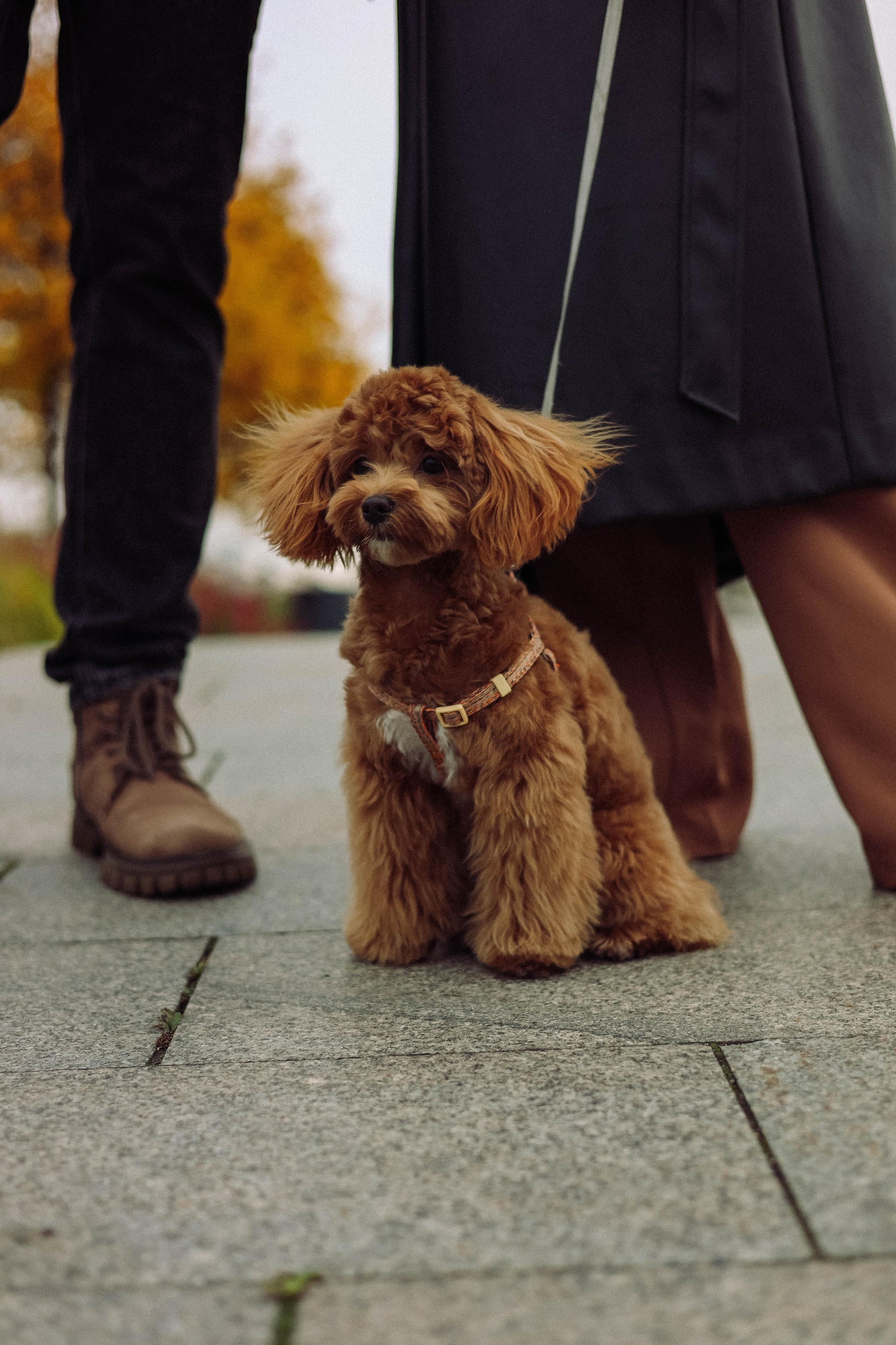 Кира. Фотограф в Москве Анастасия Калинина