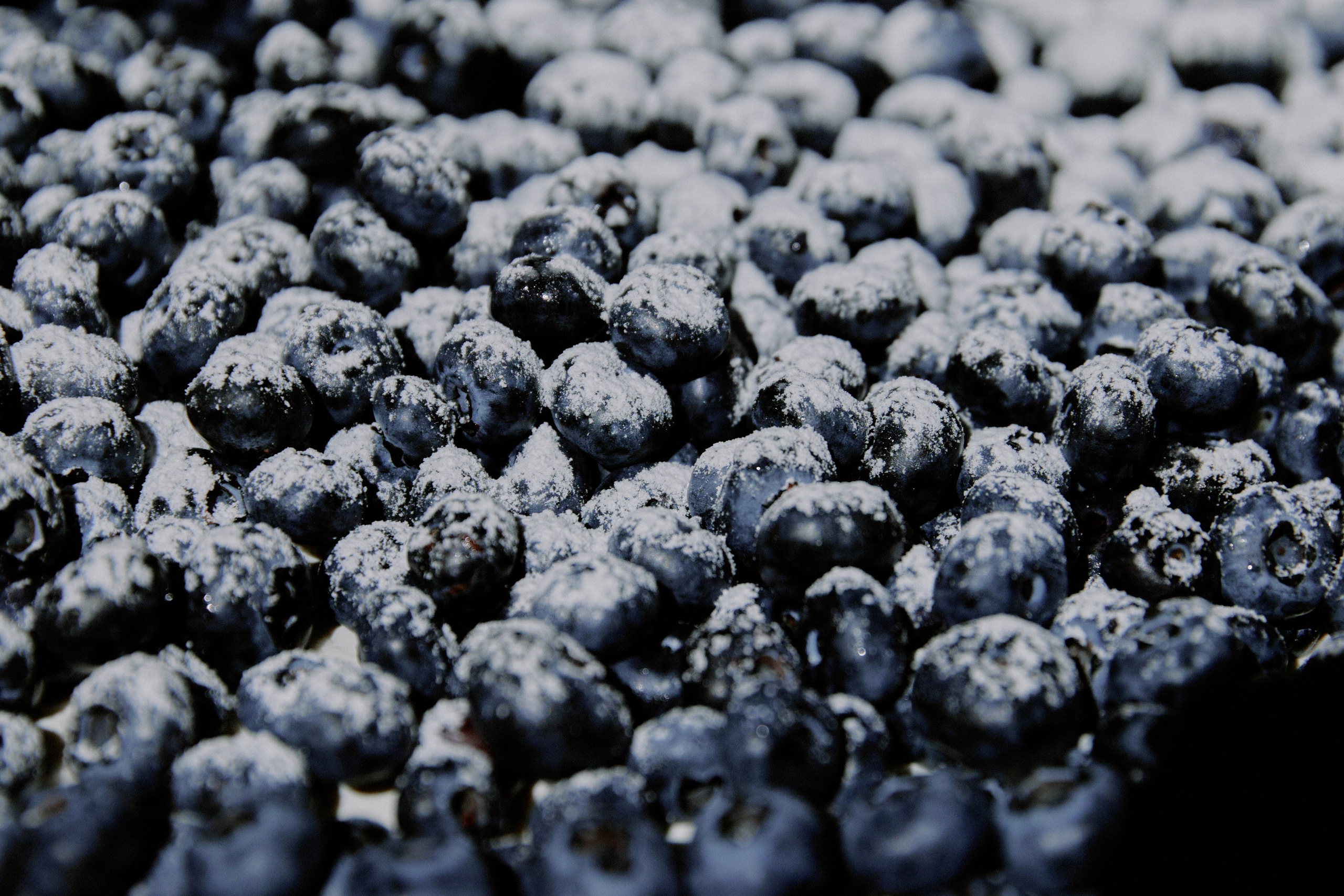 Мамма Мia!. Фотограф Елена Краснопевцева