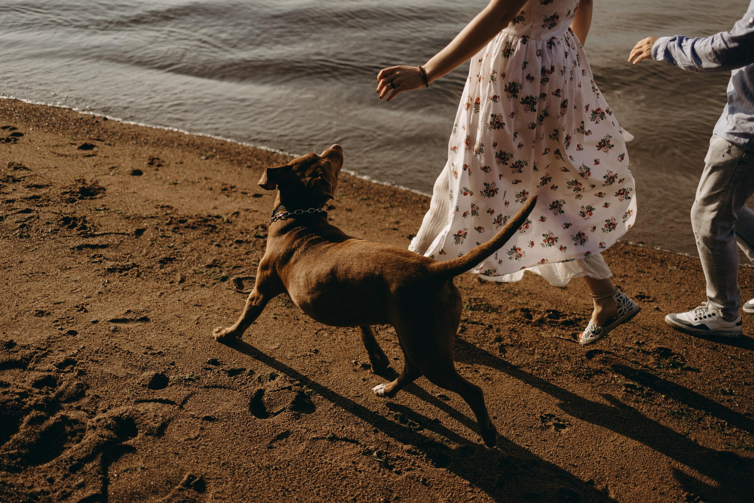 Бонни и ее семья. Фотограф — Анималист | Санкт-Петербург