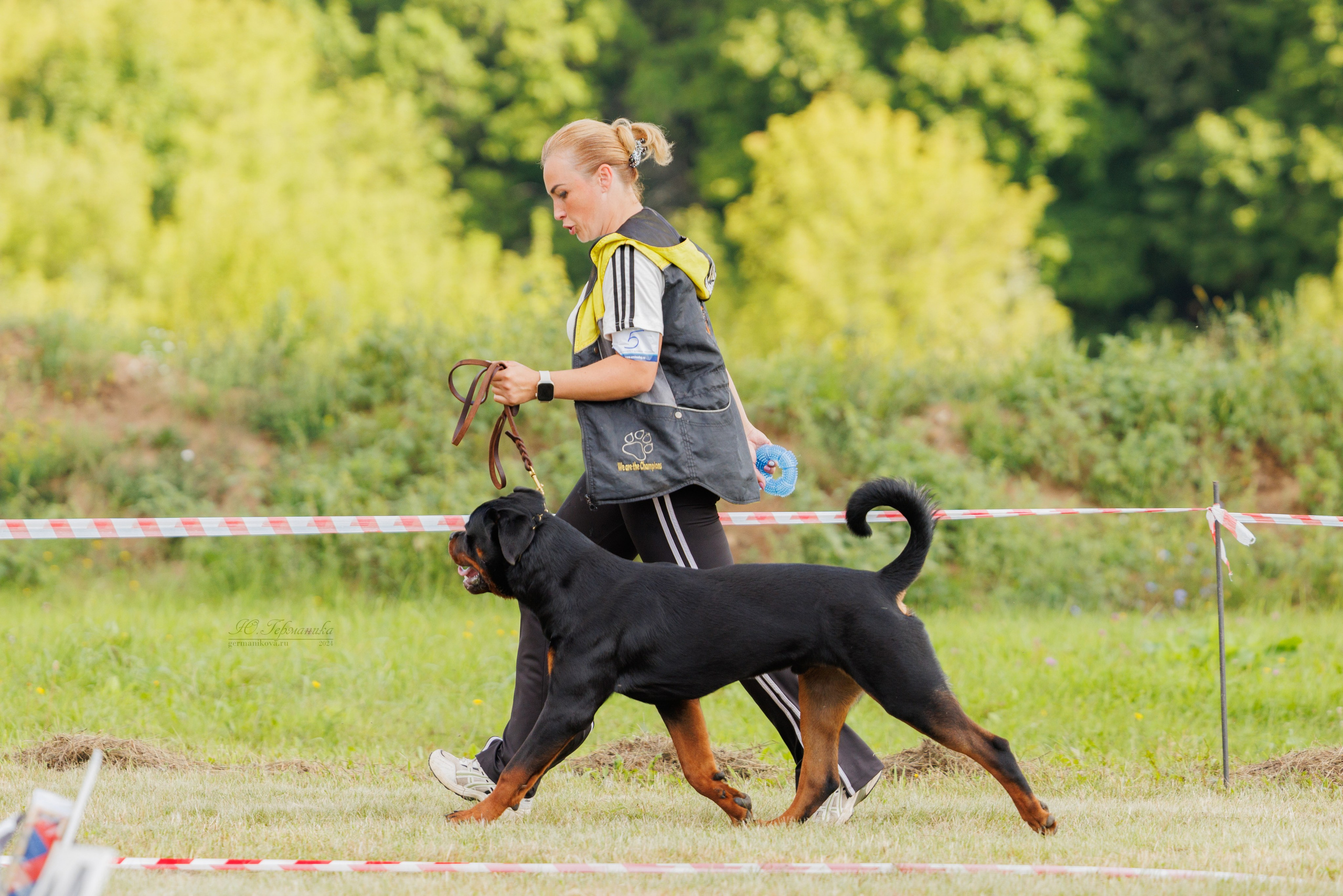 Рязань-Ховрино 10-11.08.2024 3хмоно ротвейлеров. Фотограф-анималист Юлия Германика