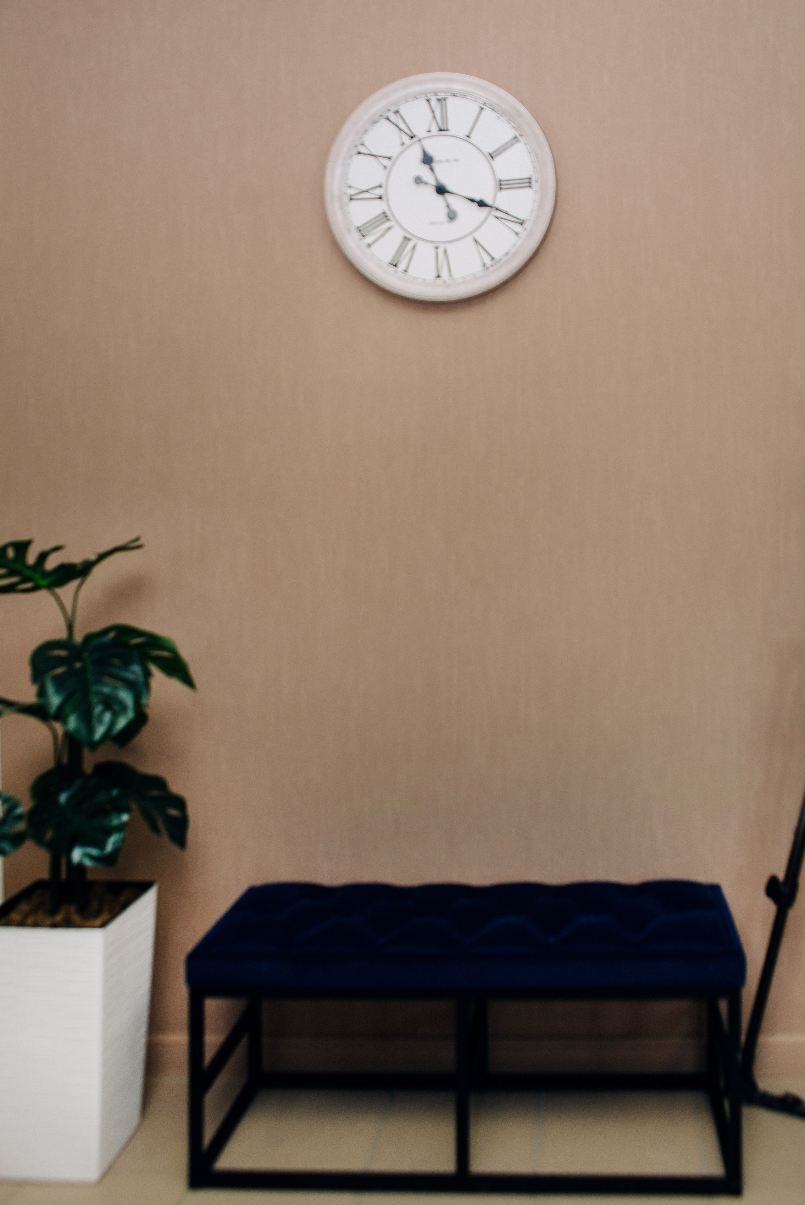 Стоматология. Фотограф — МАРИЯ МЕДВЕДЕВА