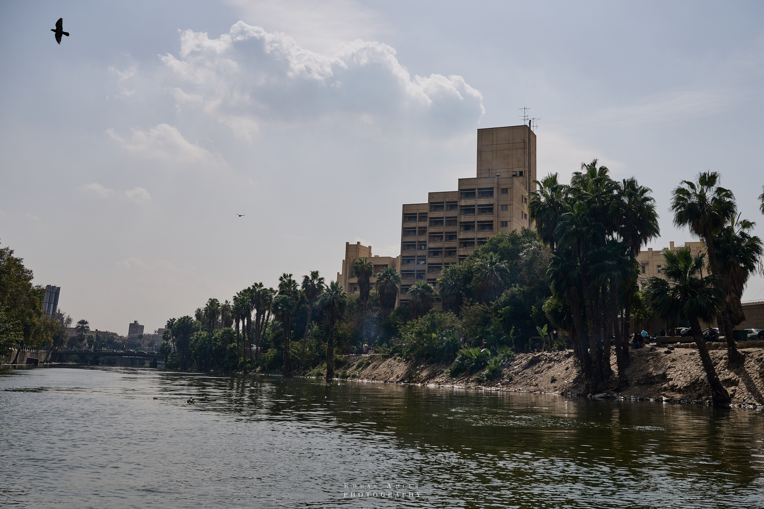 Каир. Февраль 2025. Фотограф Роман Адлер