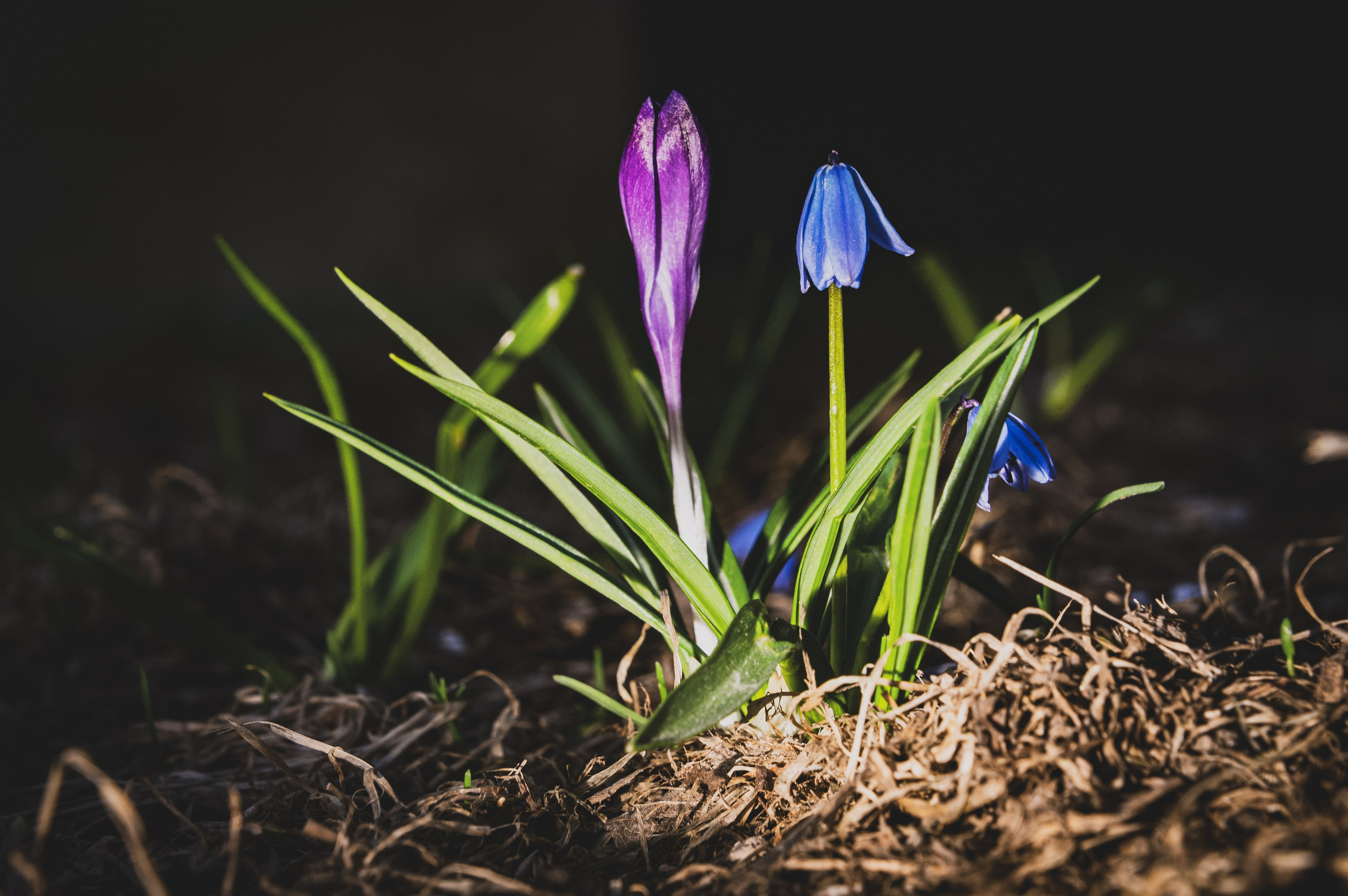 Фотопрогулка. Апрель 2023. Москва. Фотограф Роман Адлер