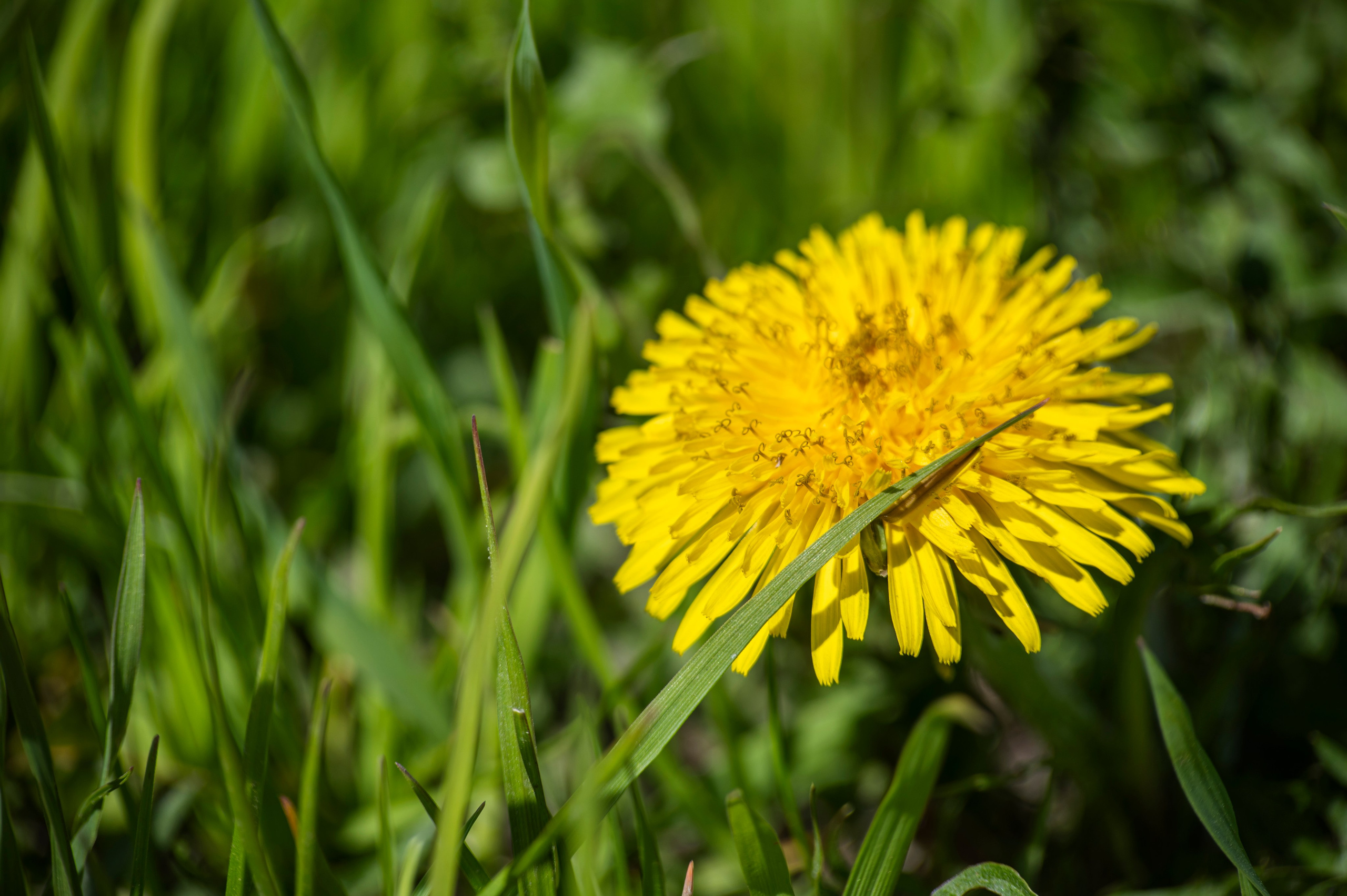 Муром. Май 2022. Фотограф Роман Адлер