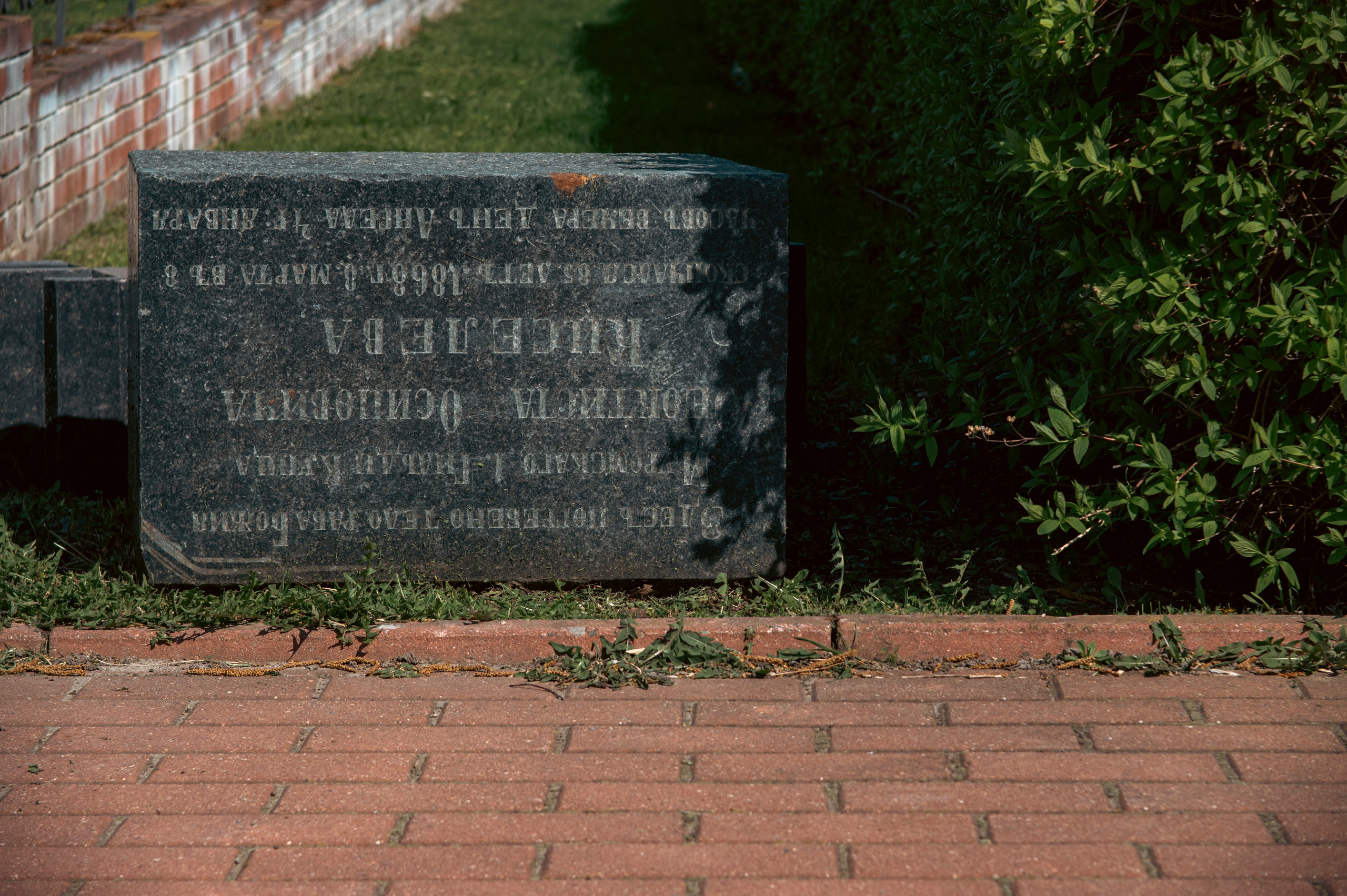 Муром. Май 2022. Фотограф Роман Адлер