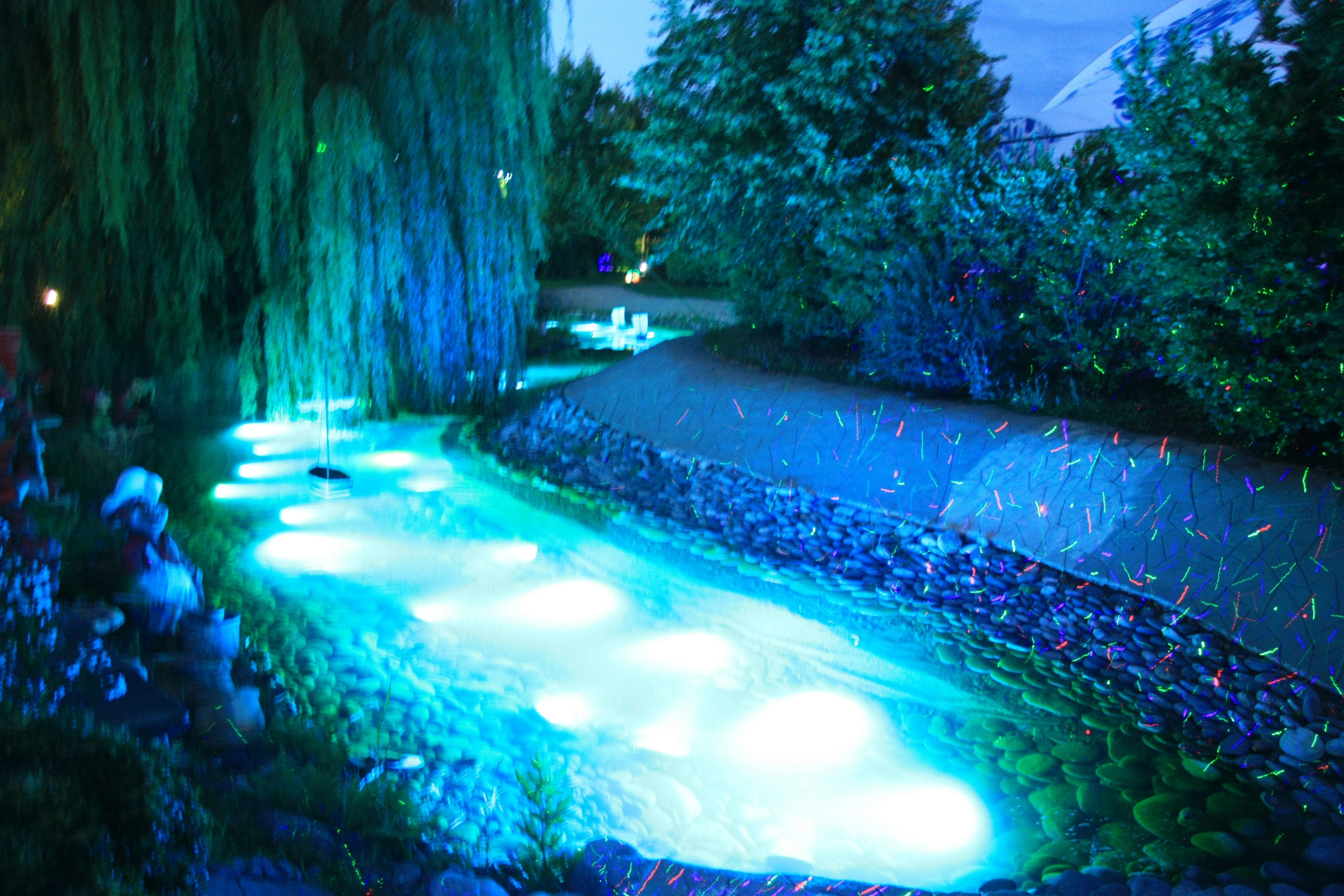 Первые кадры. Сочи — парк. Фотограф Роман Адлер