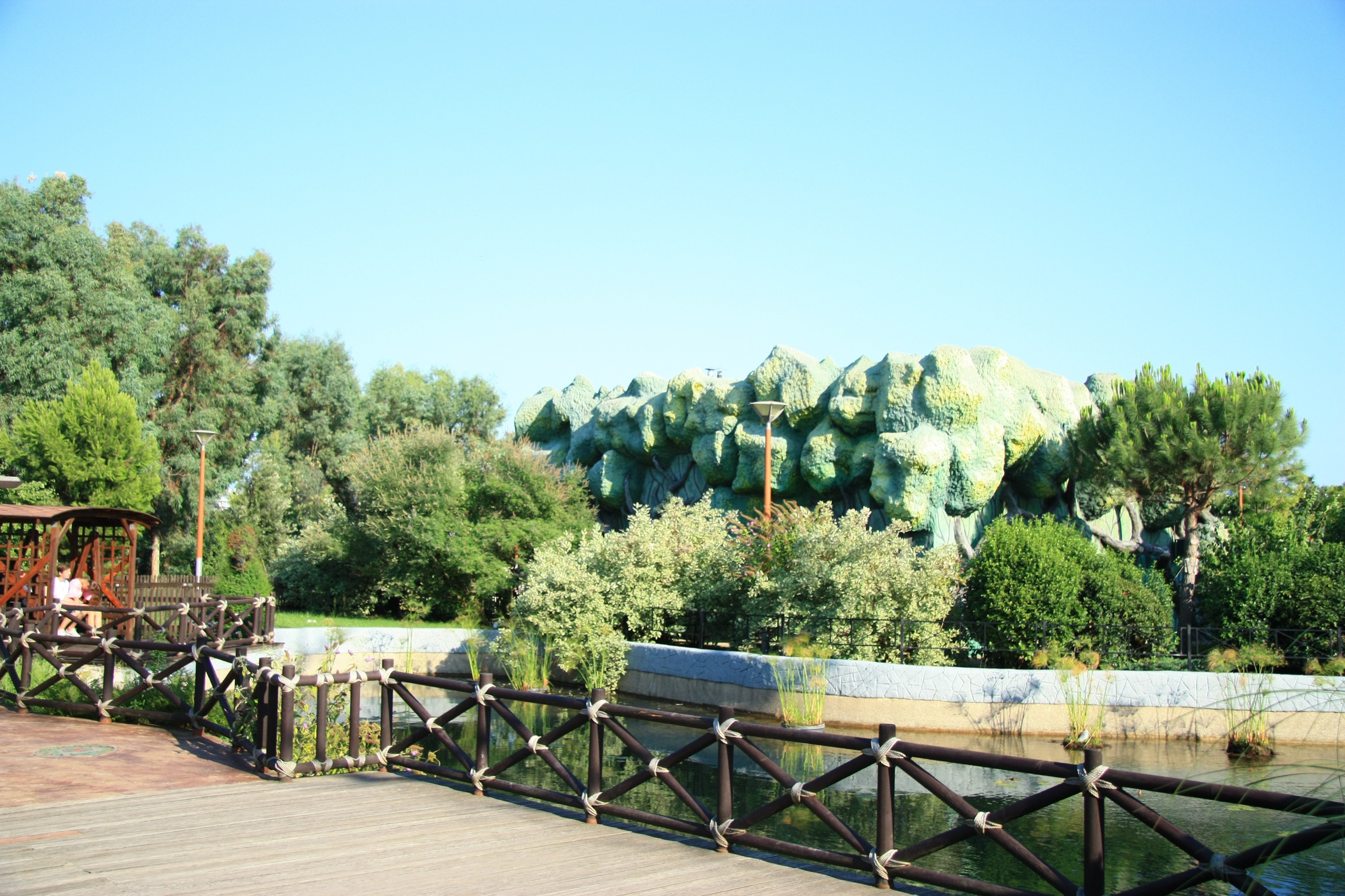 Первые кадры. Сочи — парк. Фотограф Роман Адлер