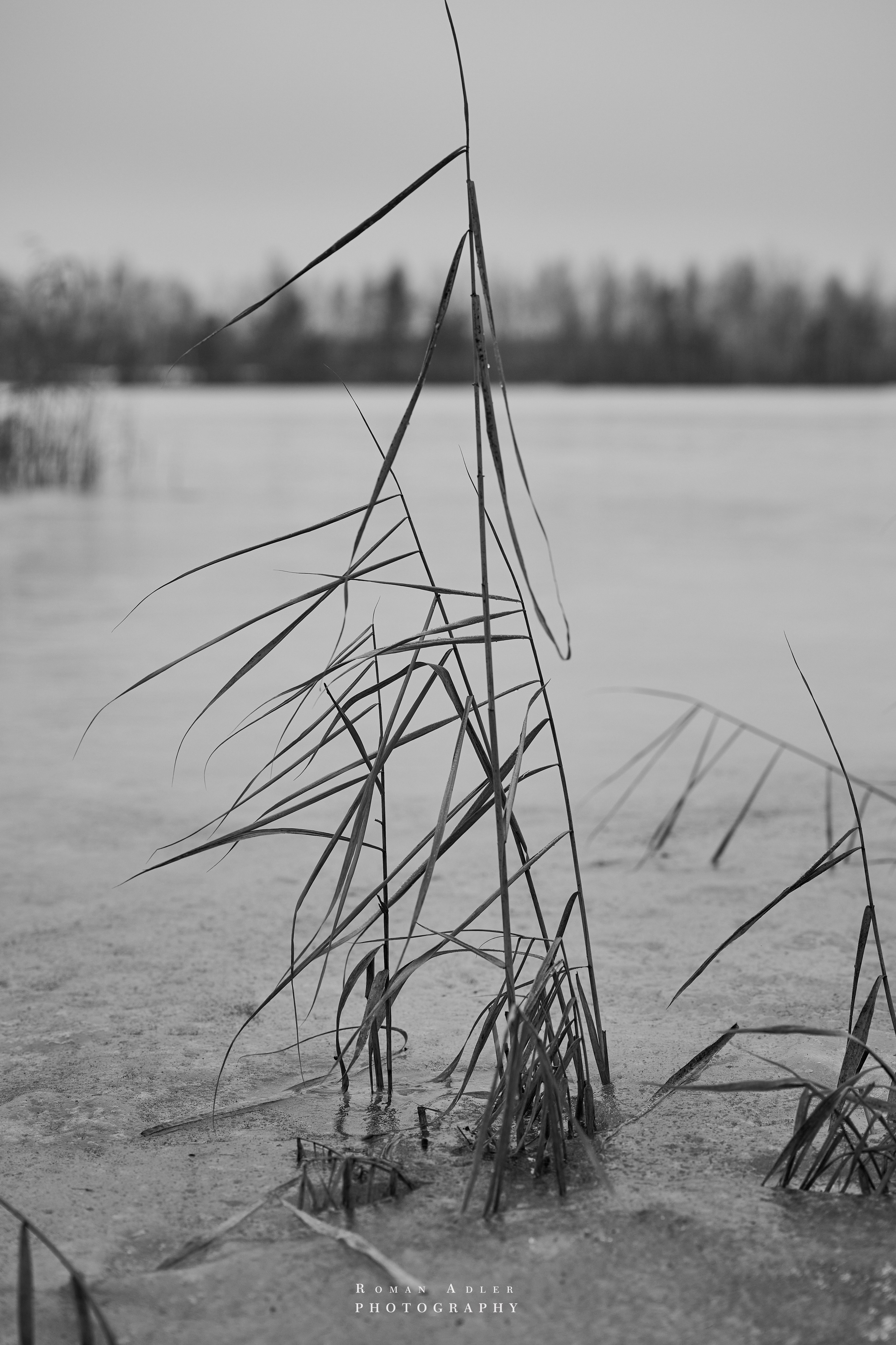 Место силы…. Фотограф Роман Адлер