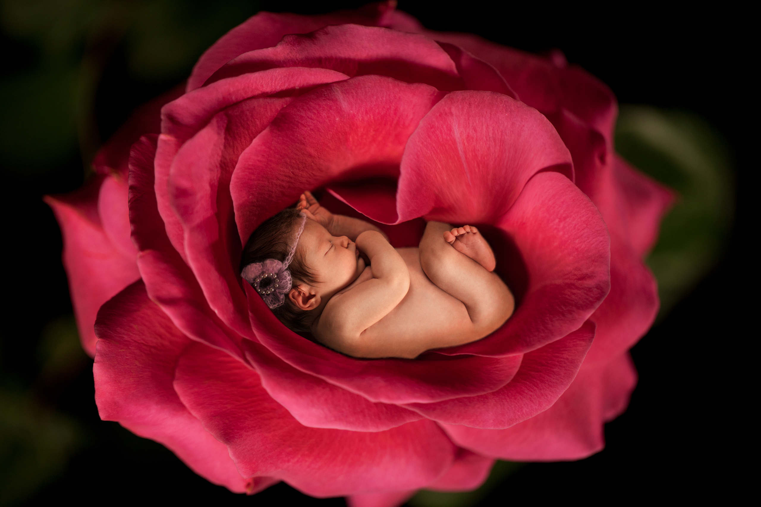 Обо мне. Sasha Fox  - профессиональный фотограф из Санкт-Петербурга. Фотосессия