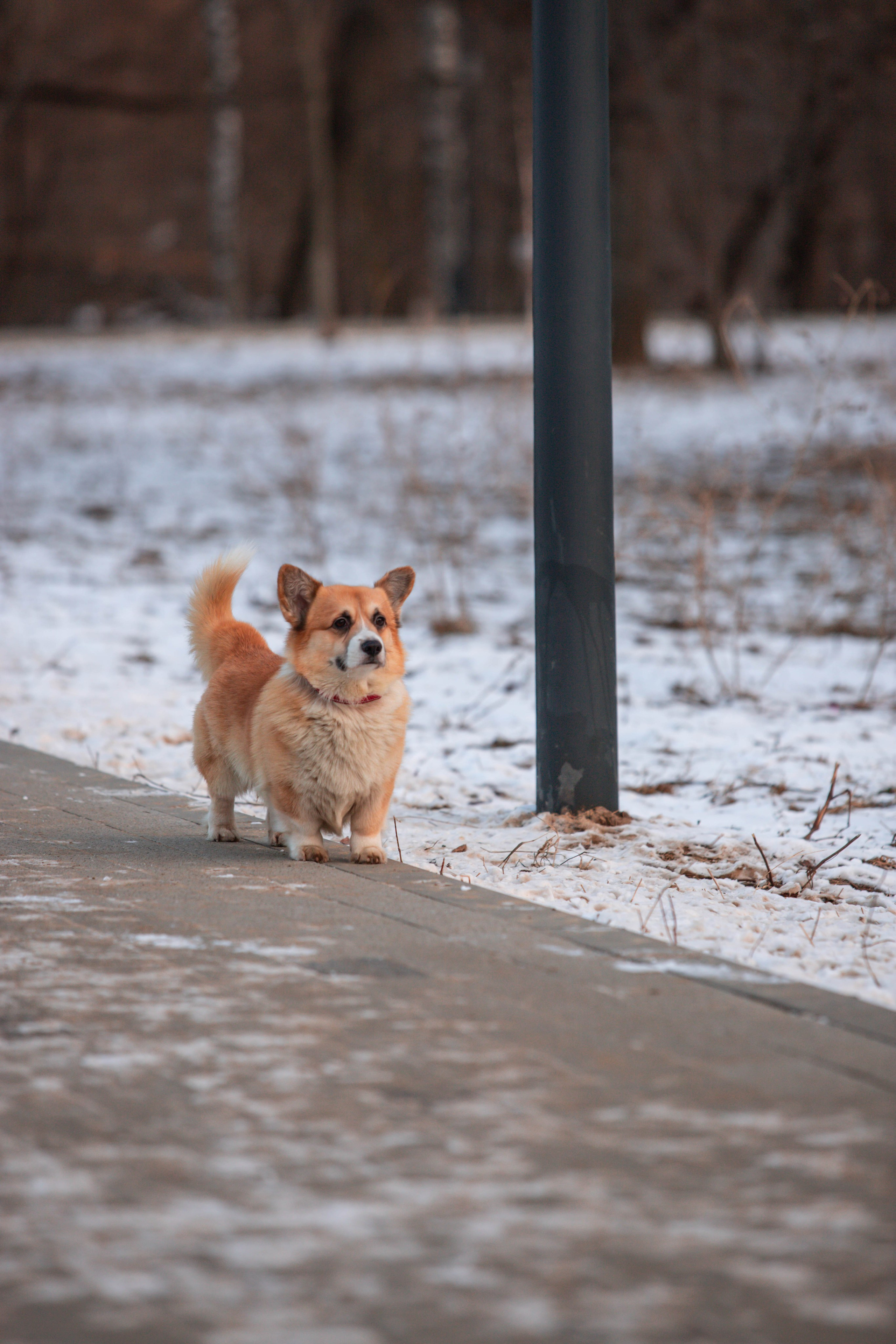 5 верст_Бабушкинская. Александра Мельниченко/ Бегающий фотограф