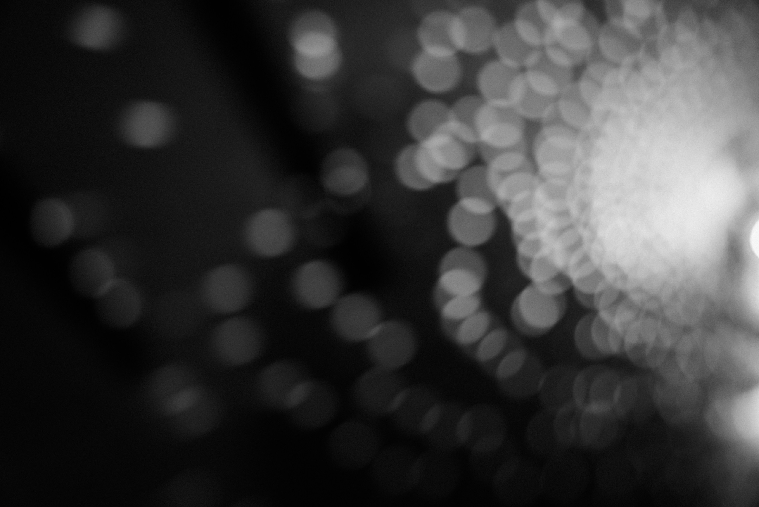 Свадебная фотосессия в Дёмино