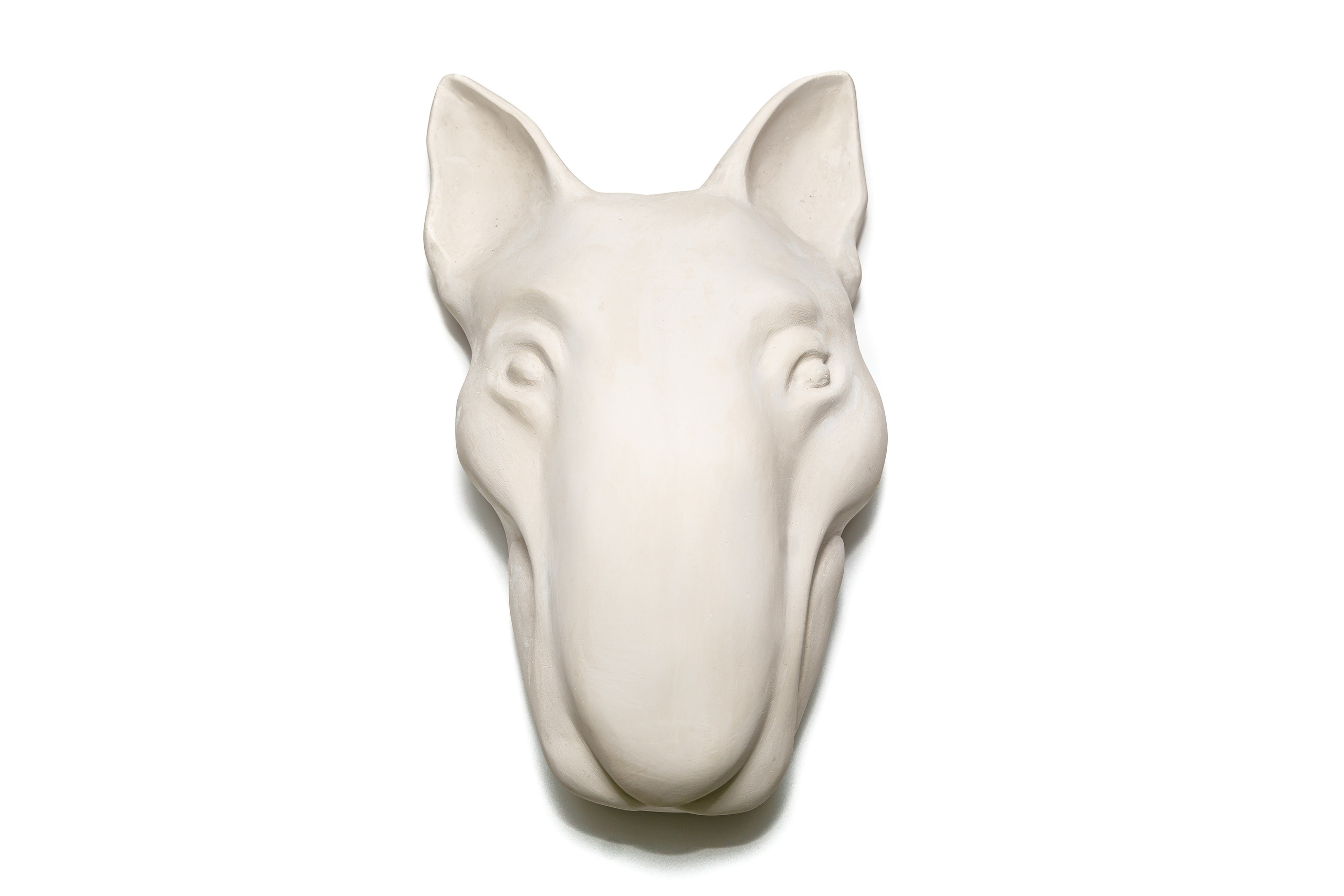 Искусство. Твой фотограф Алина Кочергина