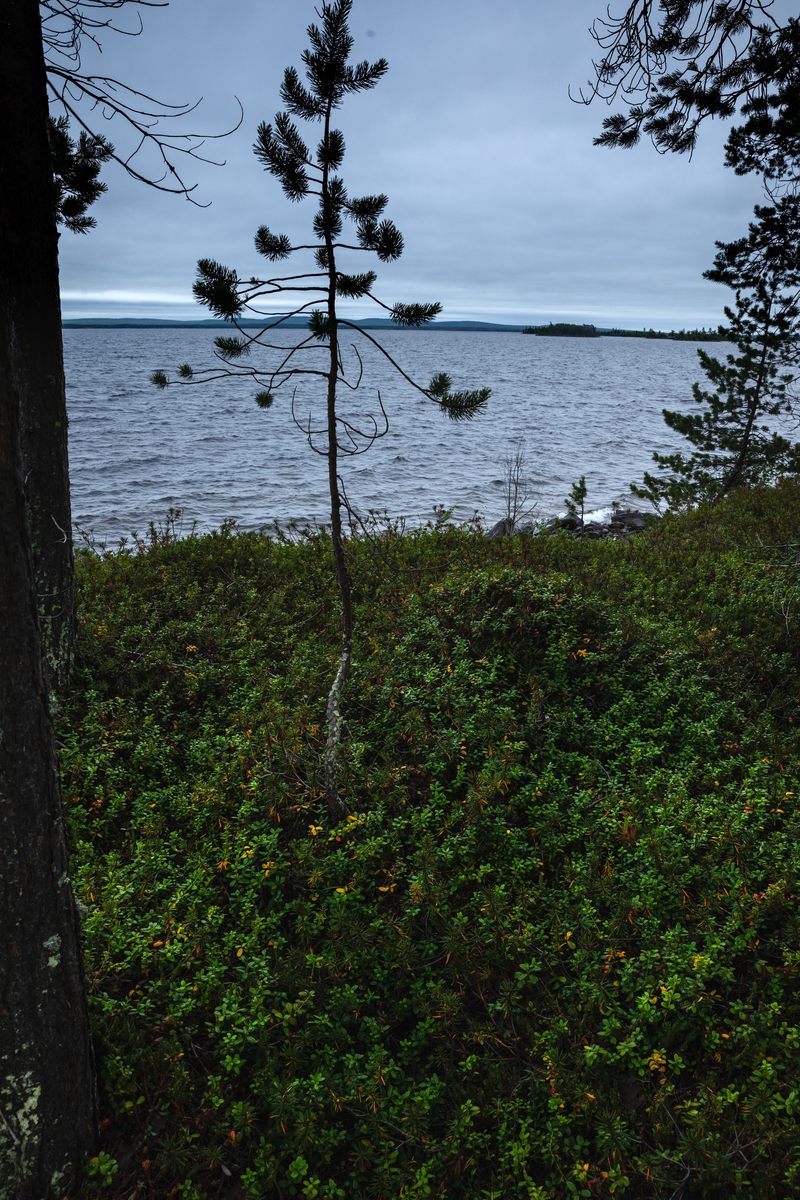 Оз. Колвицкое. Фотографии