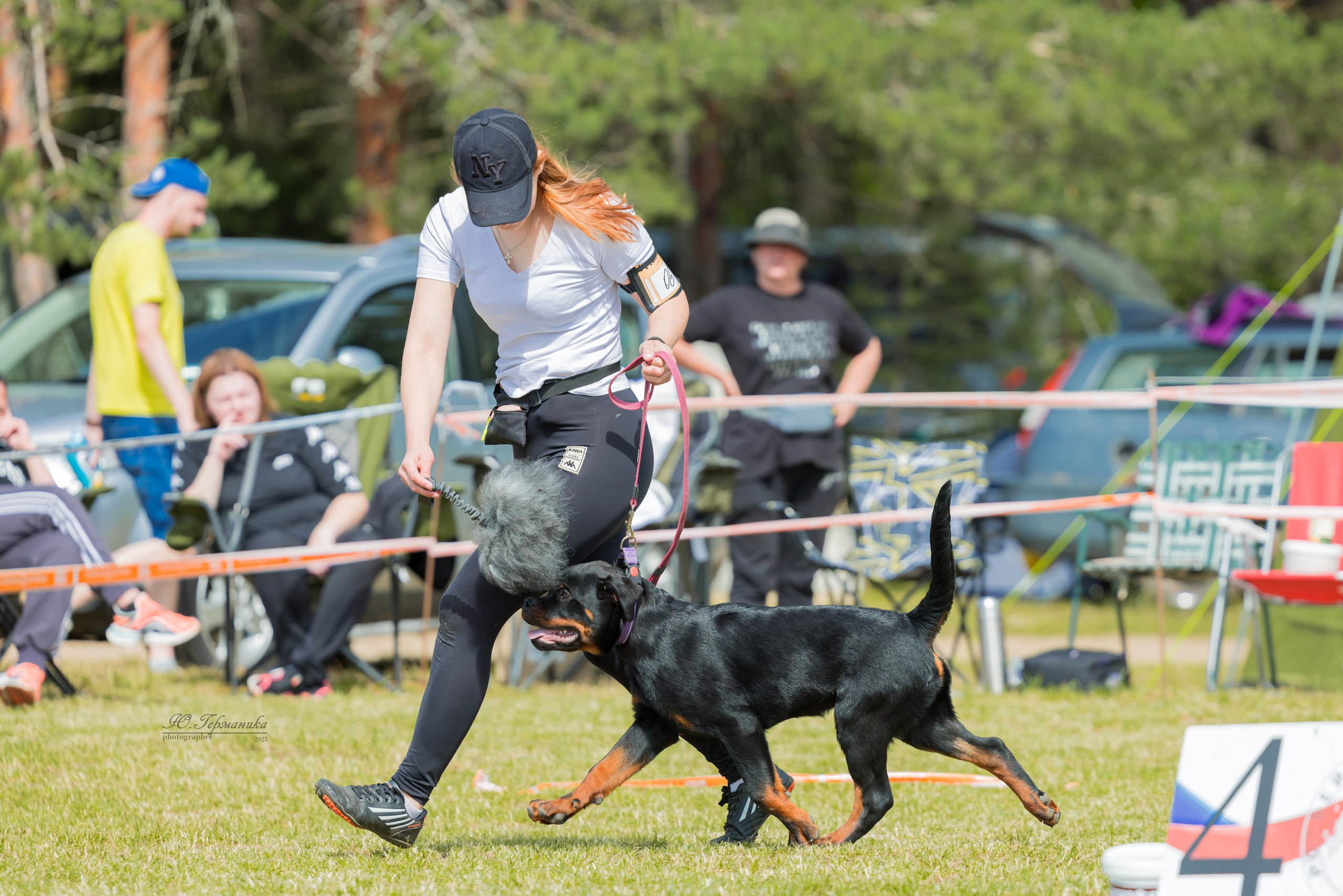 Тверь ротвейлеры 5-6.07.2025. Фотограф-анималист Юлия Германика