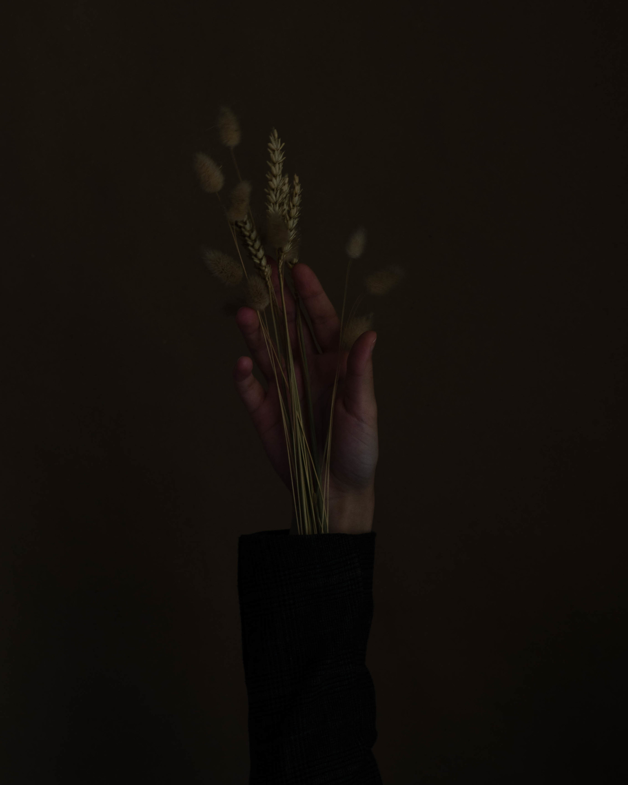 Other. Orunek photo (portrait photographer in Da Nang)