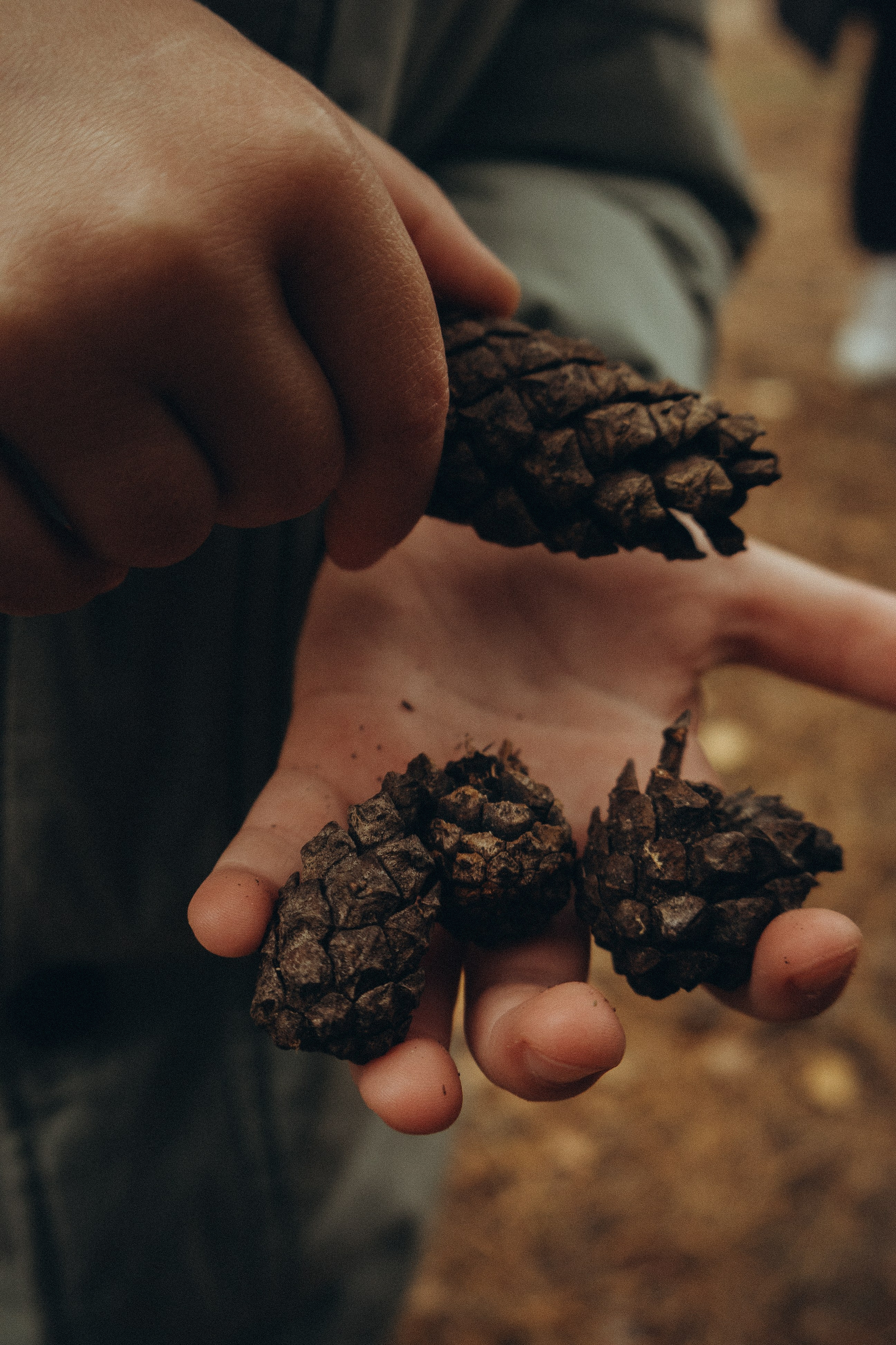Осенний пикник. Фотограф Москва Алёна Суворова