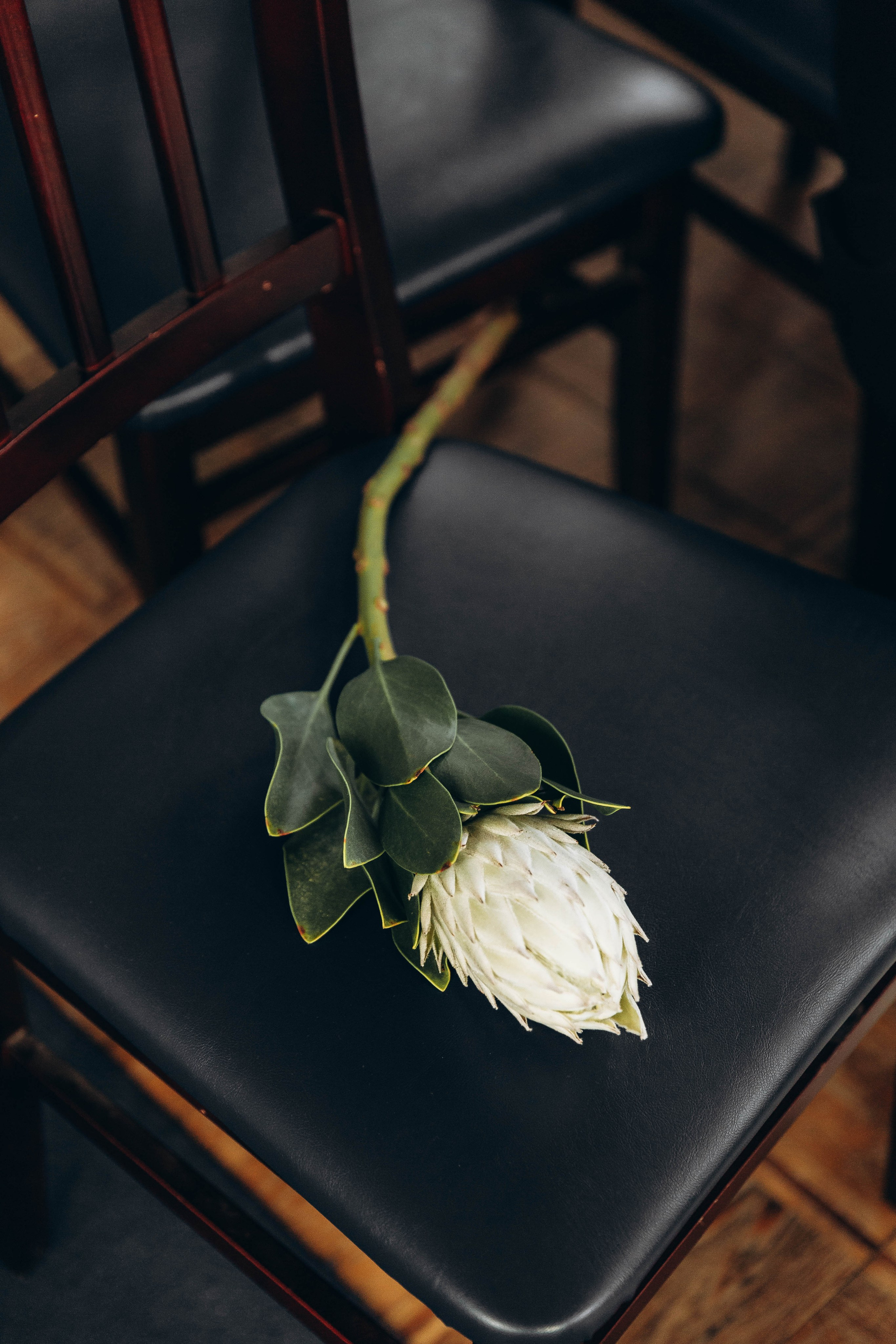 Инна и Даниэль. Katerina Schastlivaya