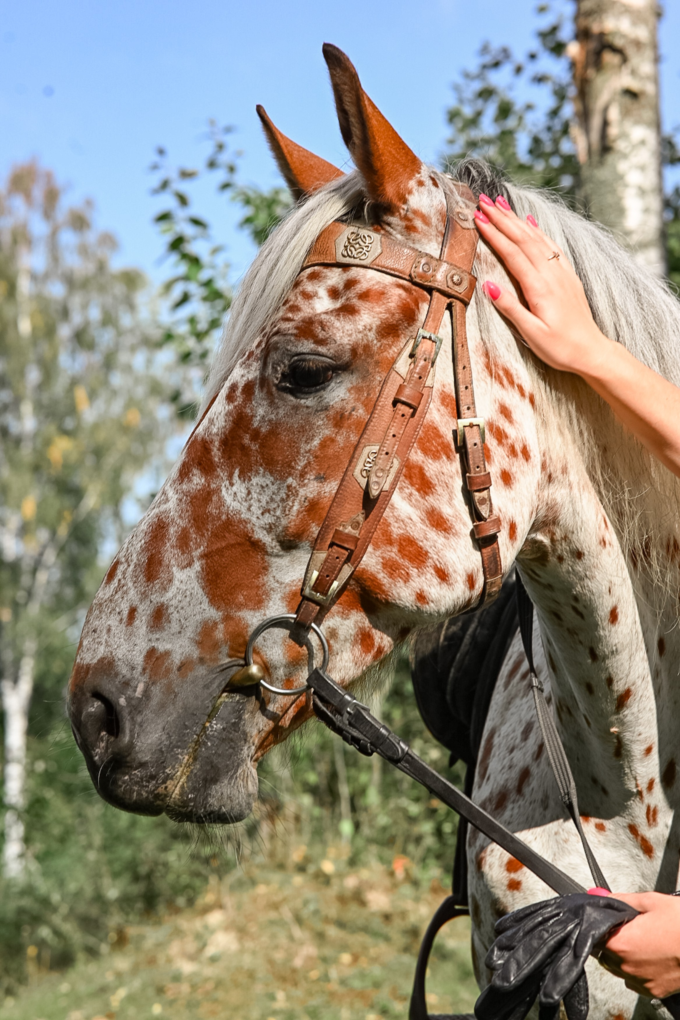 LifeStyle фотограф Анна Воробьёва Санкт-Петербург
