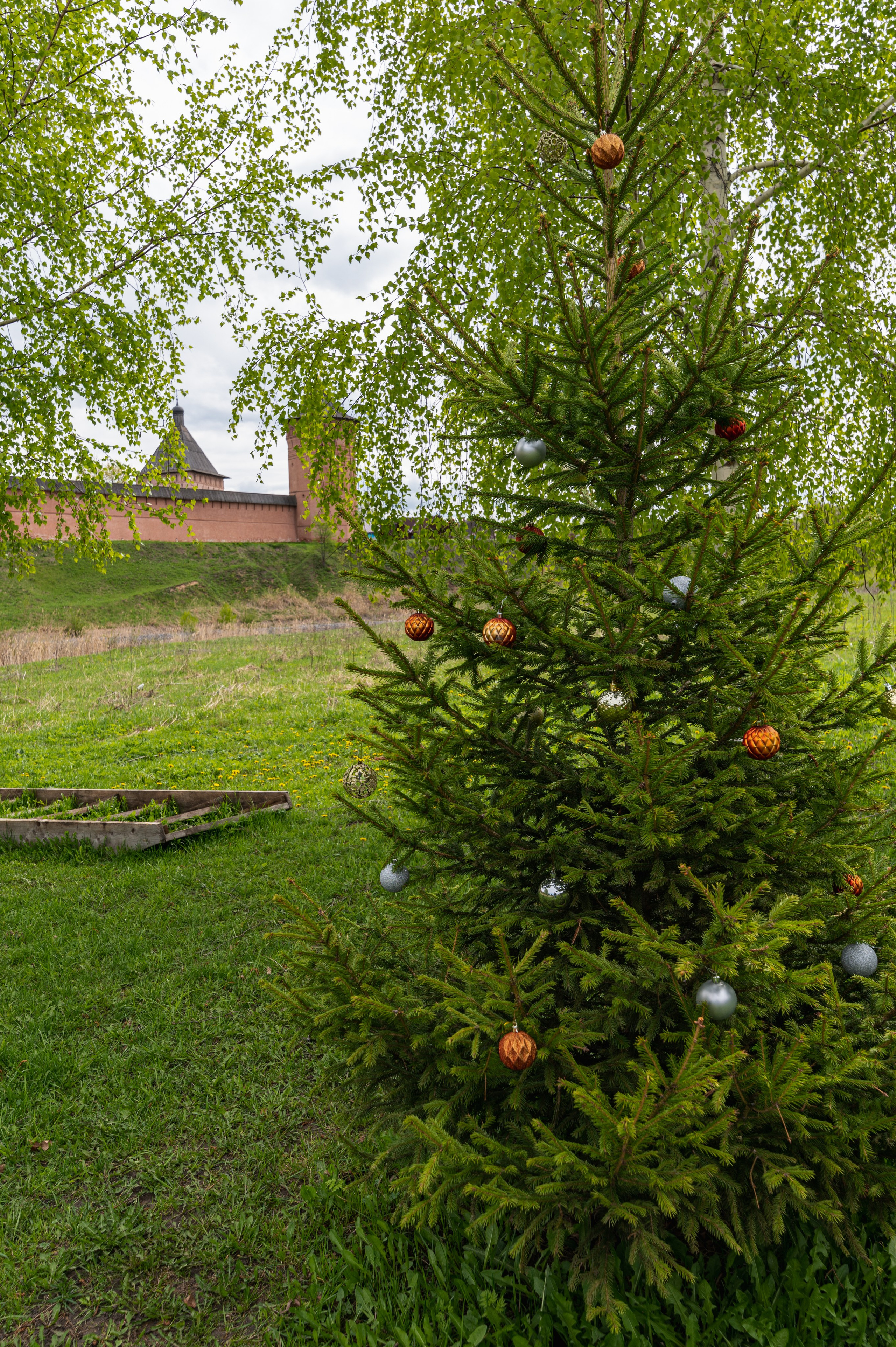 Суздаль. Май 2023. Фотограф Роман Адлер