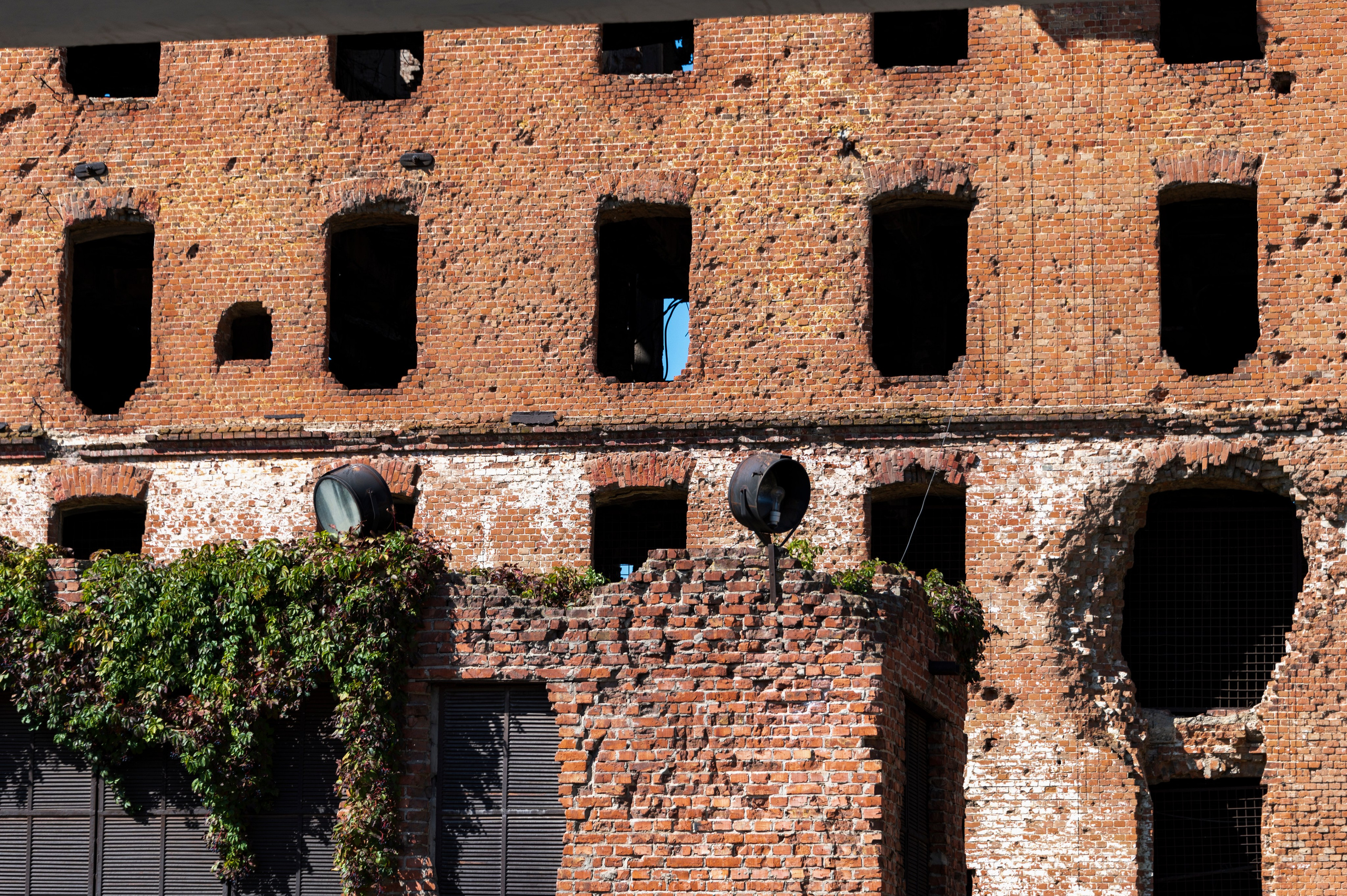 Волгоград. Сентябрь 2023. Фотограф Роман Адлер