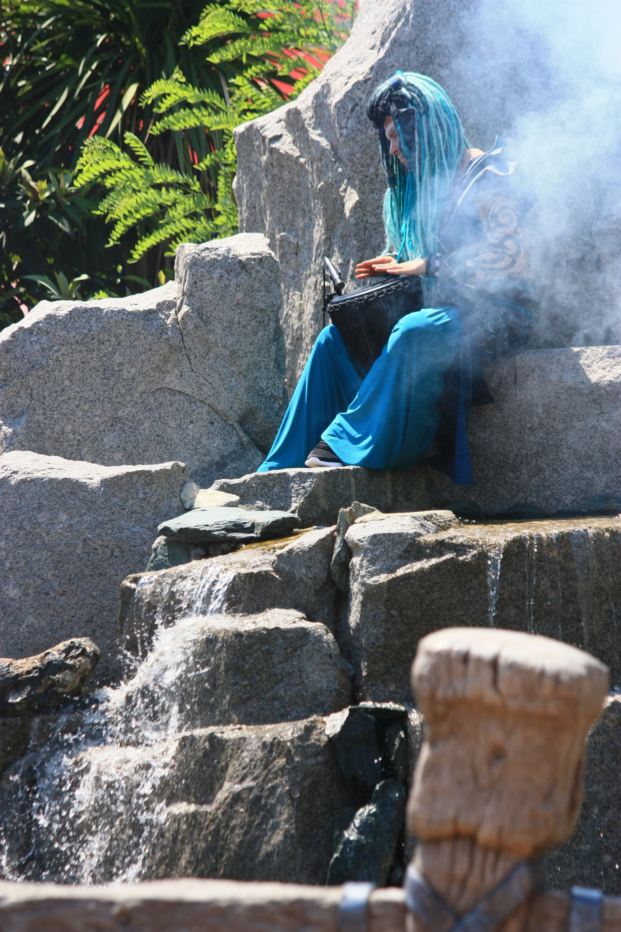 Первые кадры. Сочи — парк. Фотограф Роман Адлер