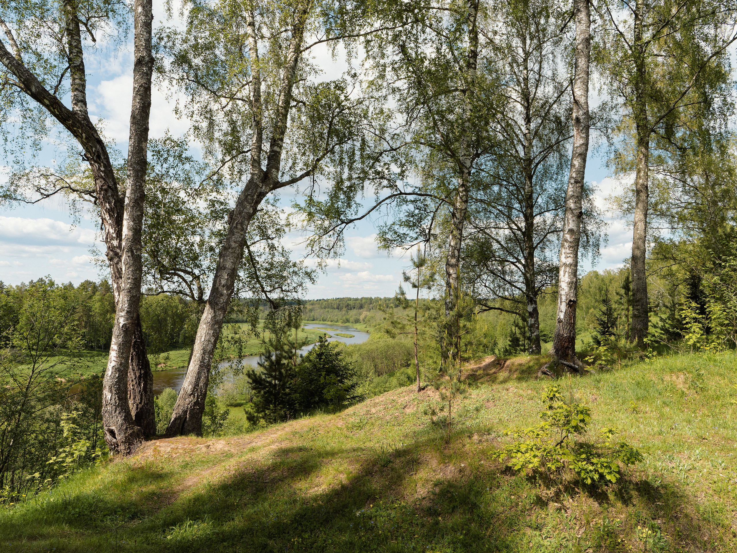 На берегу Угры. Конец мая 2024 года. Фотограф Никифоров-Гордеев Сергей. Москва и МО