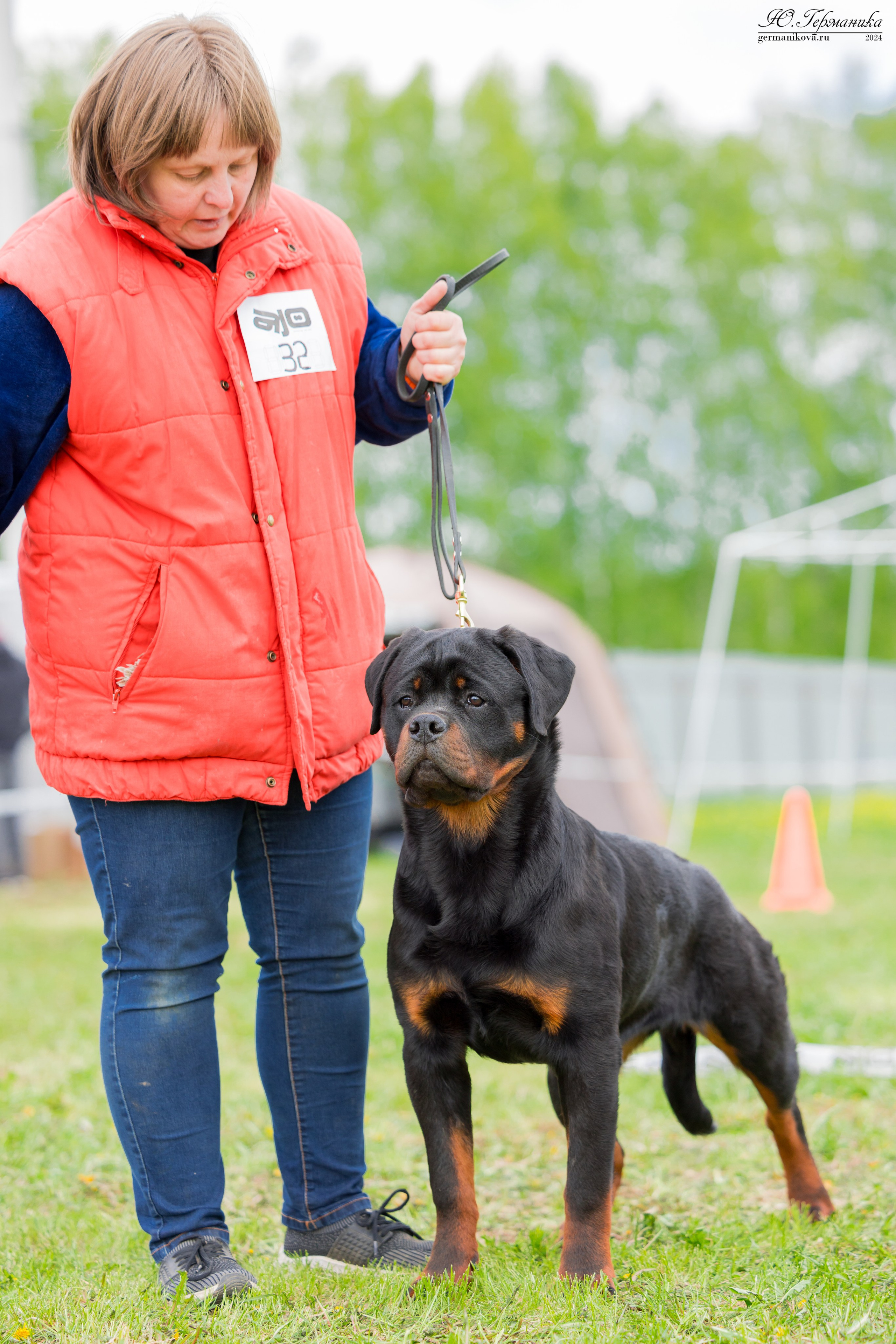Нижний Новгород 11-12.05.2024 моно ротвейлеров. Фотограф-анималист Юлия Германика