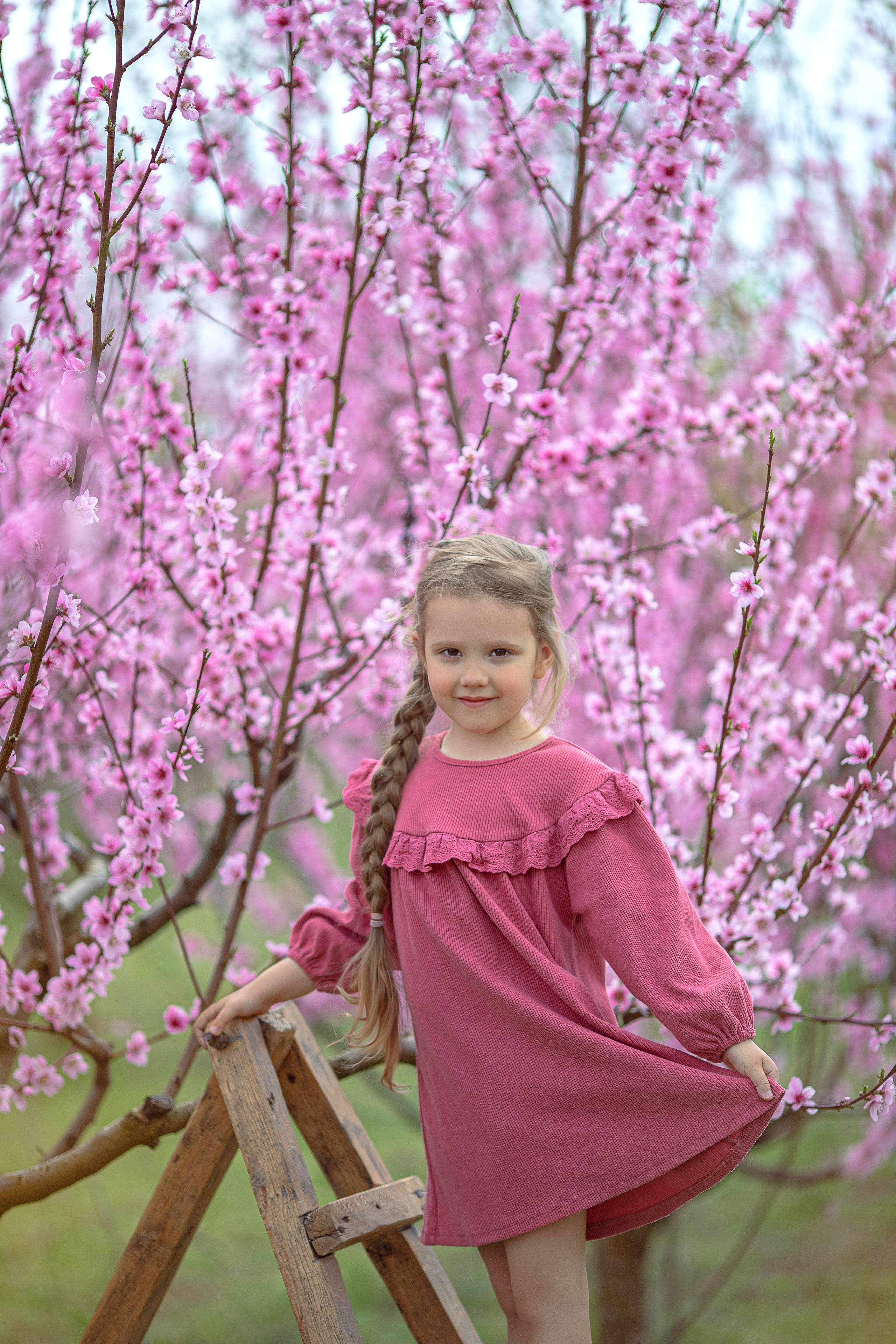 Цветущие персики 2024 г. Семейный и детский фотограф в Крыму Екатерина Швец