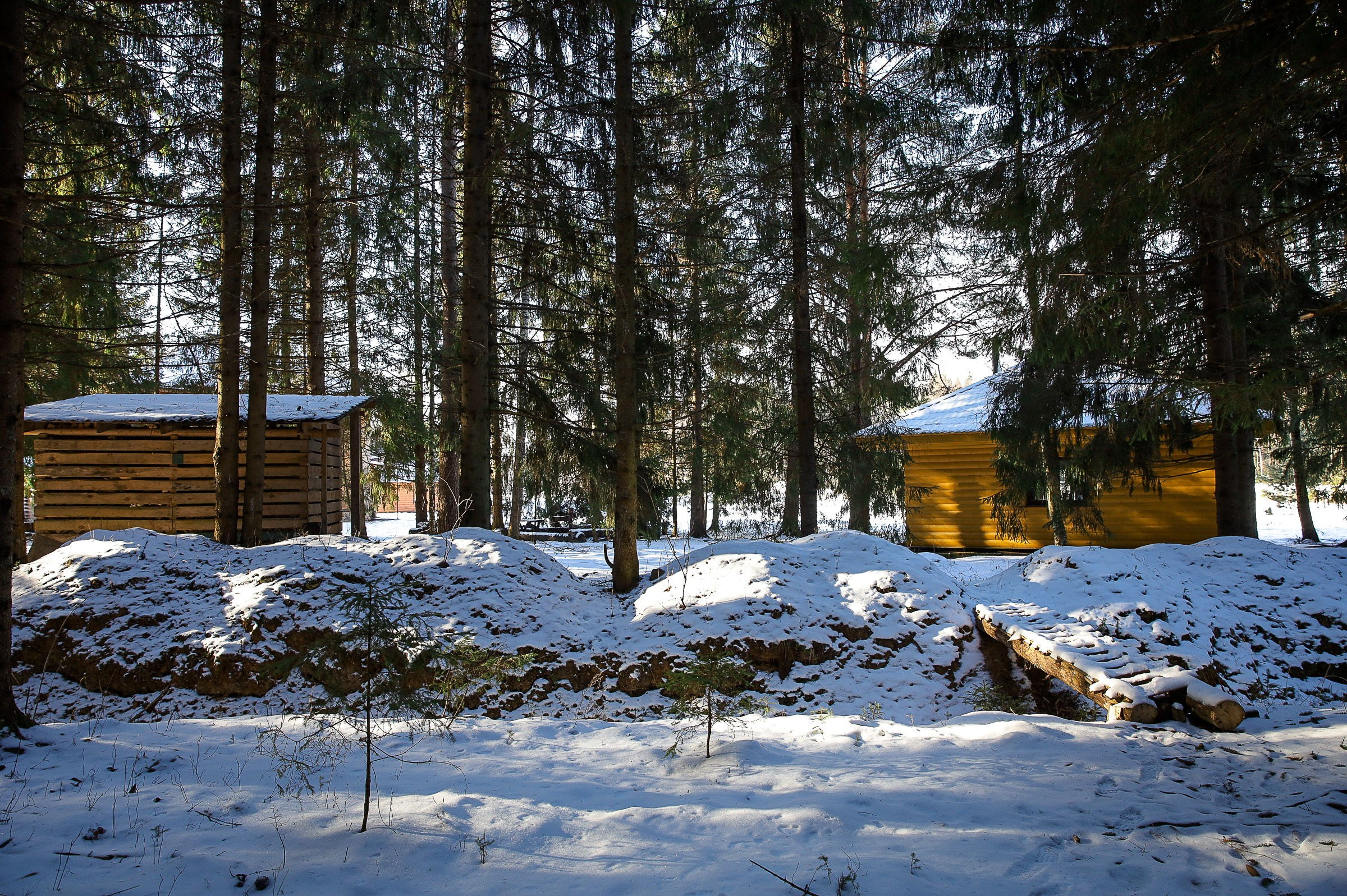 ОХОТНИЧЬЯ ЗАИМКА. ТВЕРСКАЯ ОБЛАСТЬ. Фотограф в Москве Ольга Колесникова